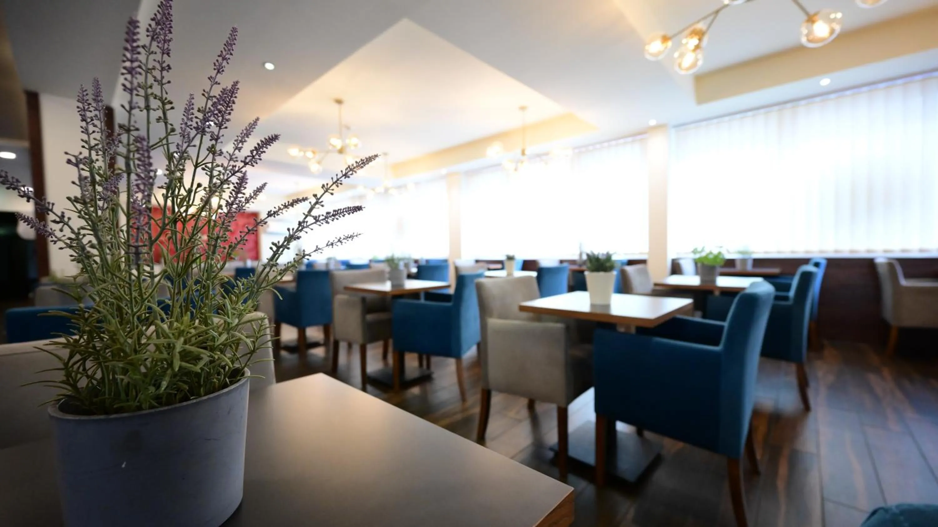 Breakfast in Motel Plus Berlin