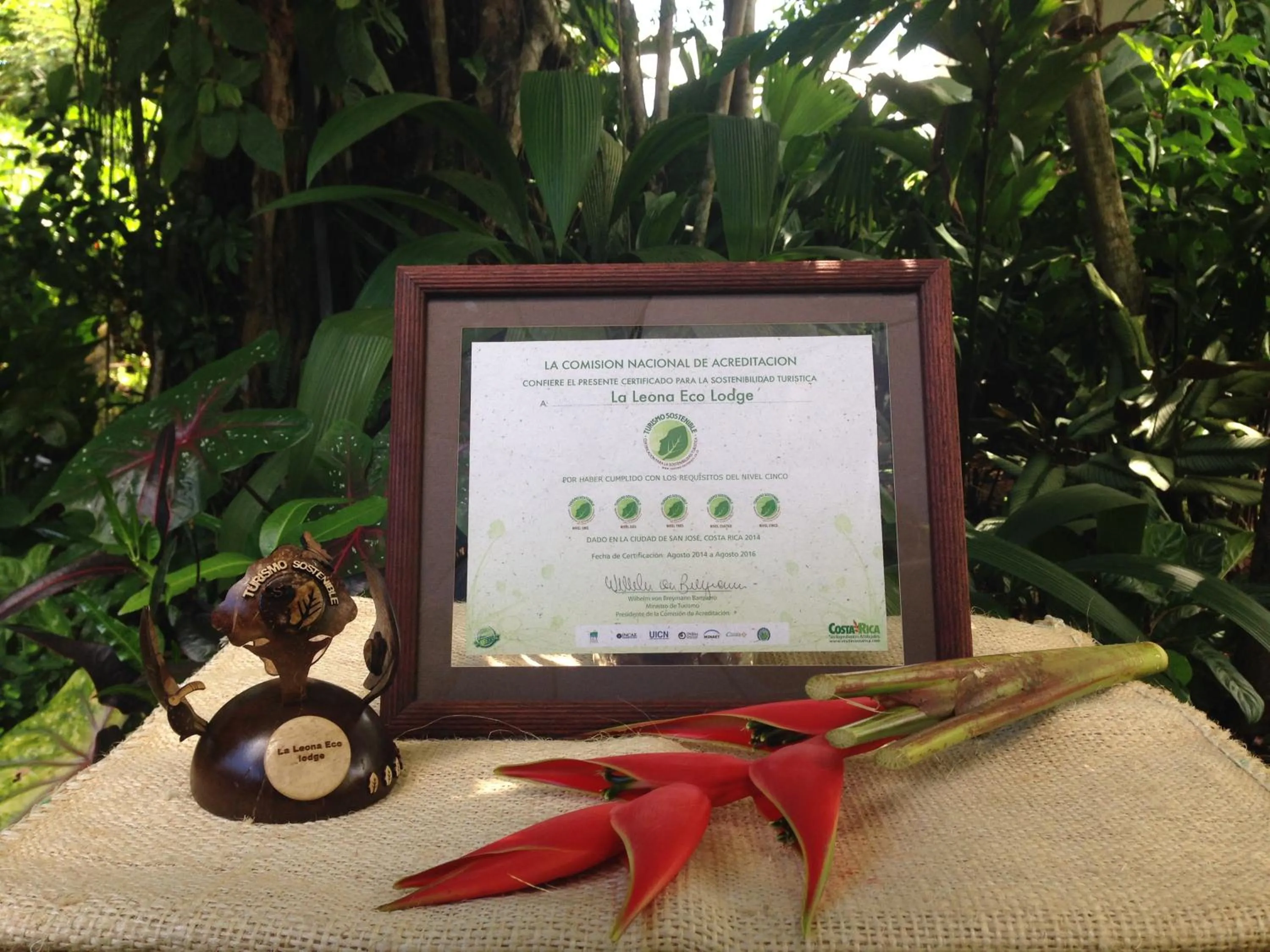 Certificate/Award in La Leona Eco Lodge