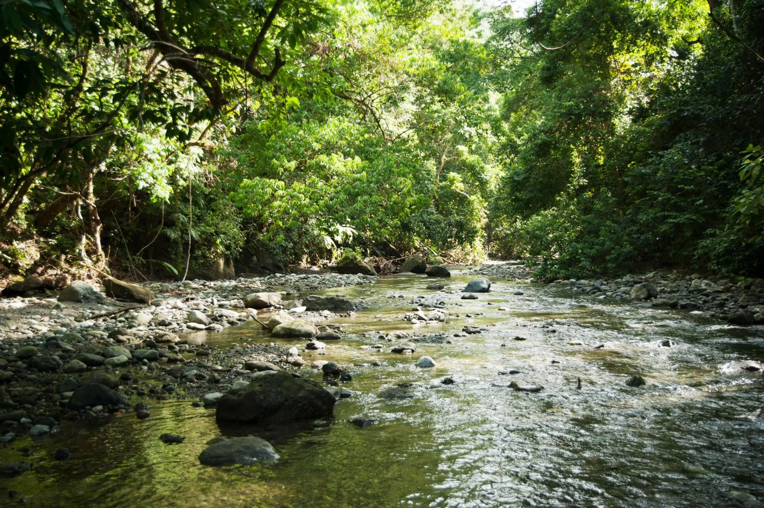 Natural landscape in La Leona Eco Lodge