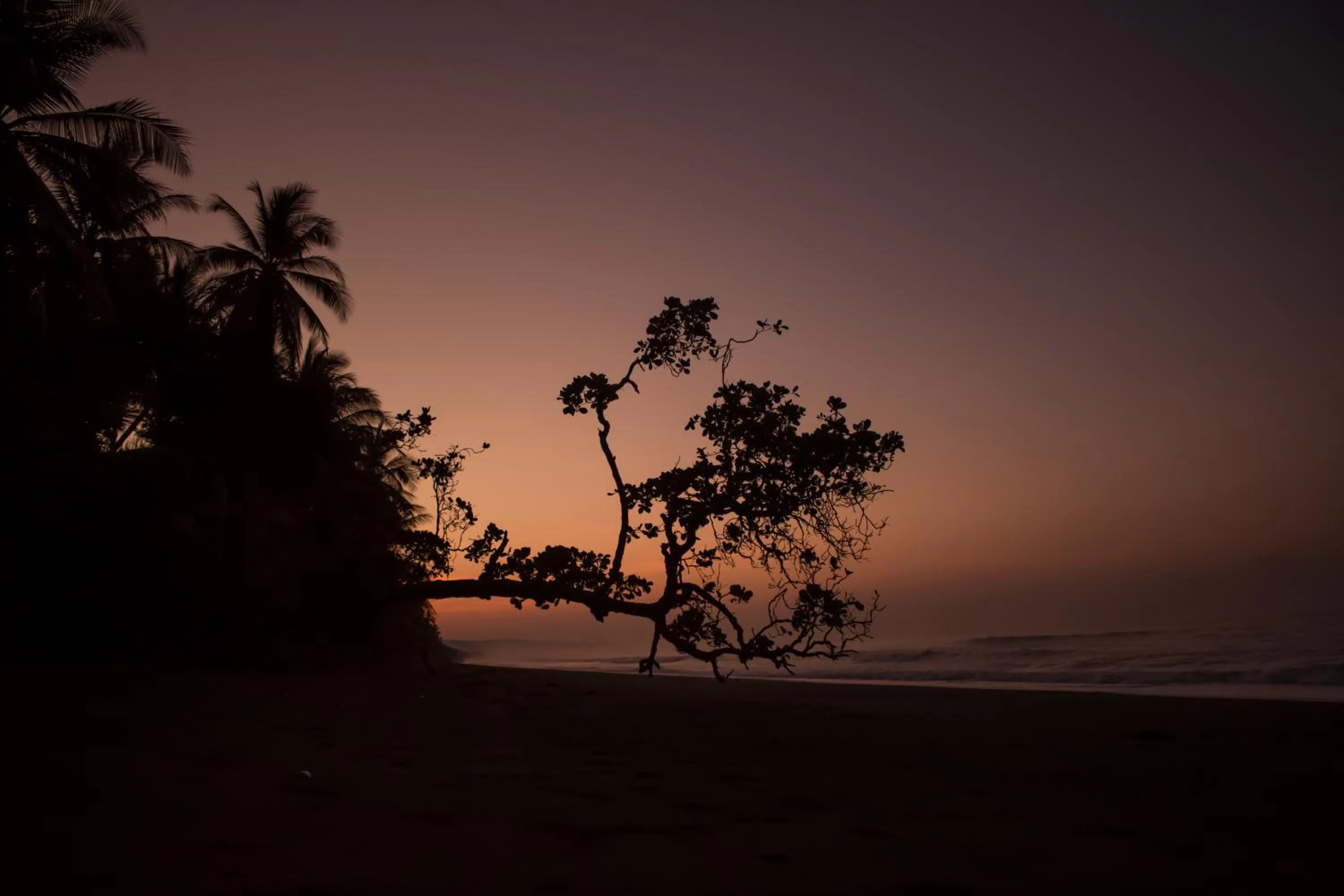 Natural landscape in La Leona Eco Lodge