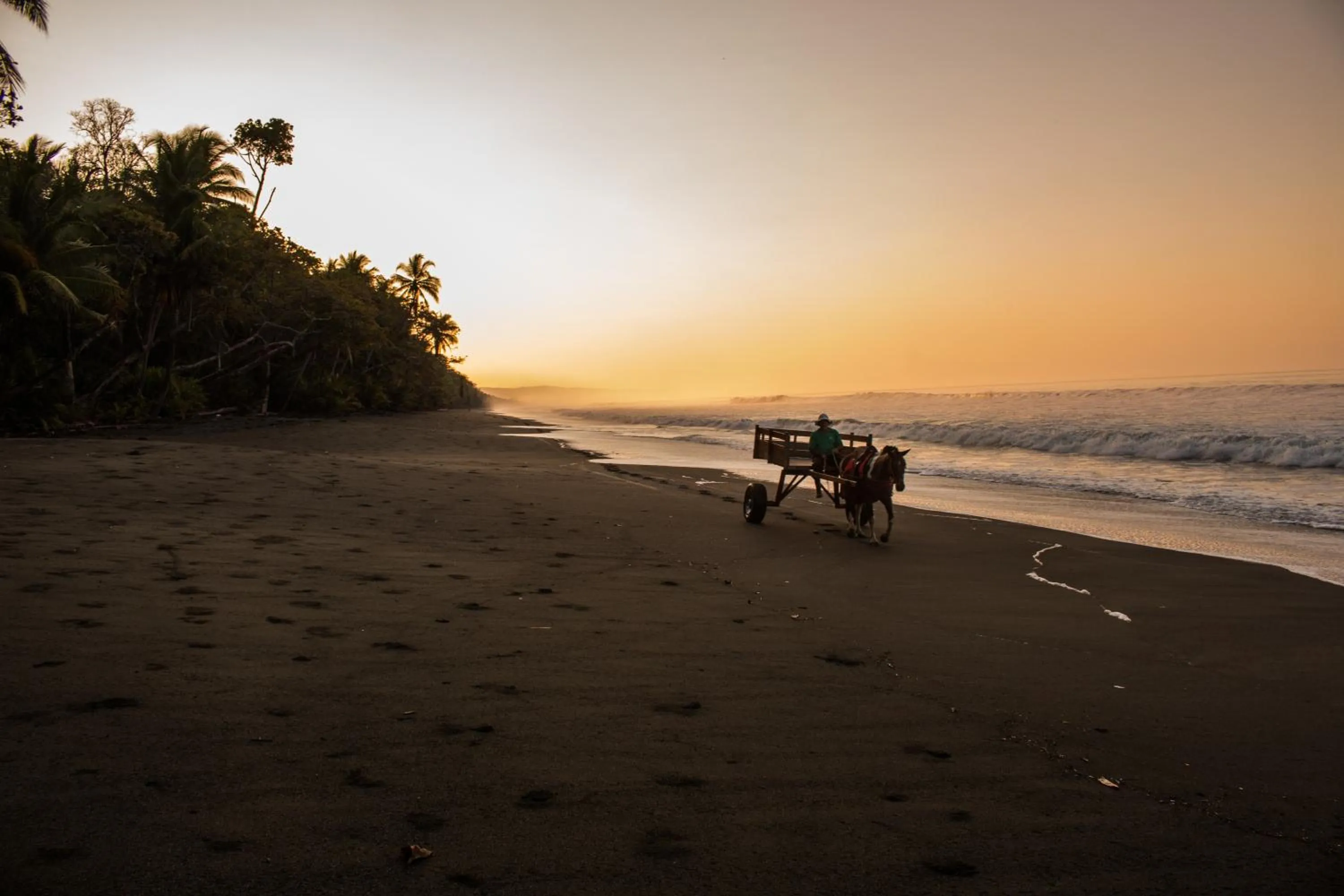 Beach in La Leona Eco Lodge
