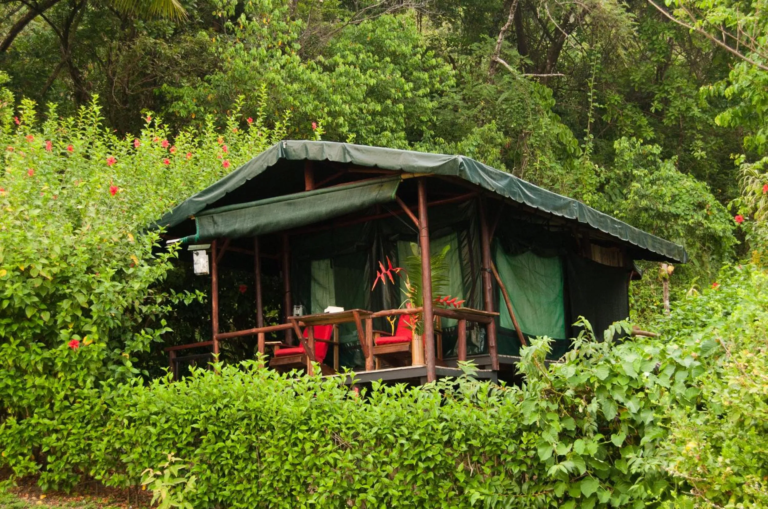 Photo of the whole room in La Leona Eco Lodge