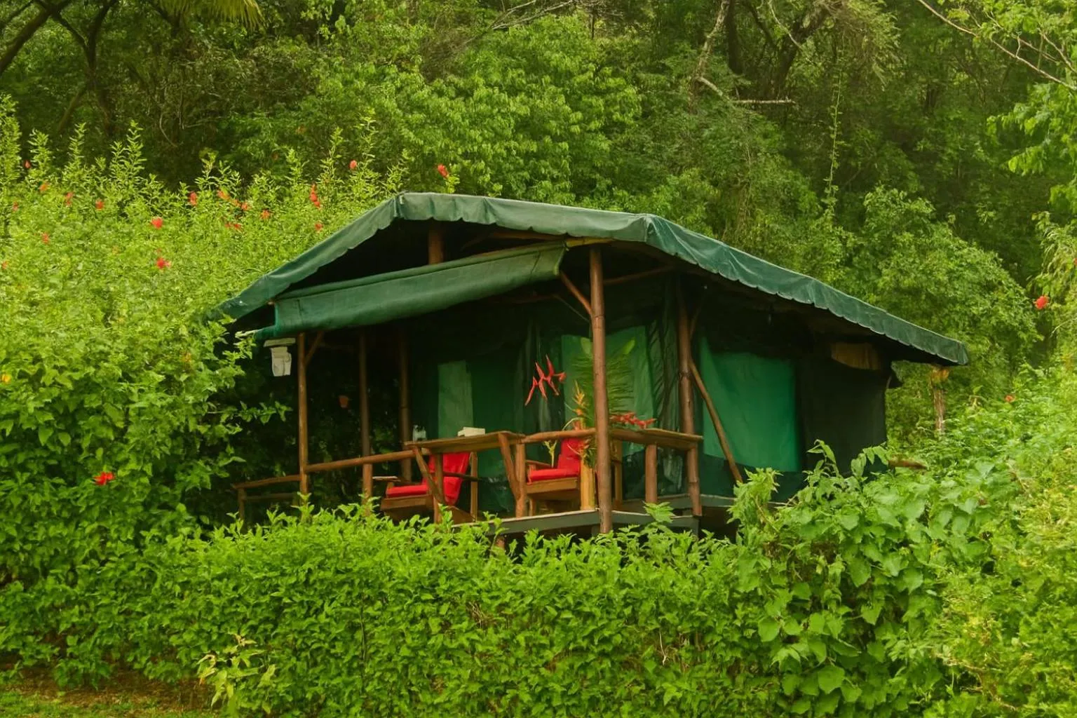 Property building in La Leona Eco Lodge