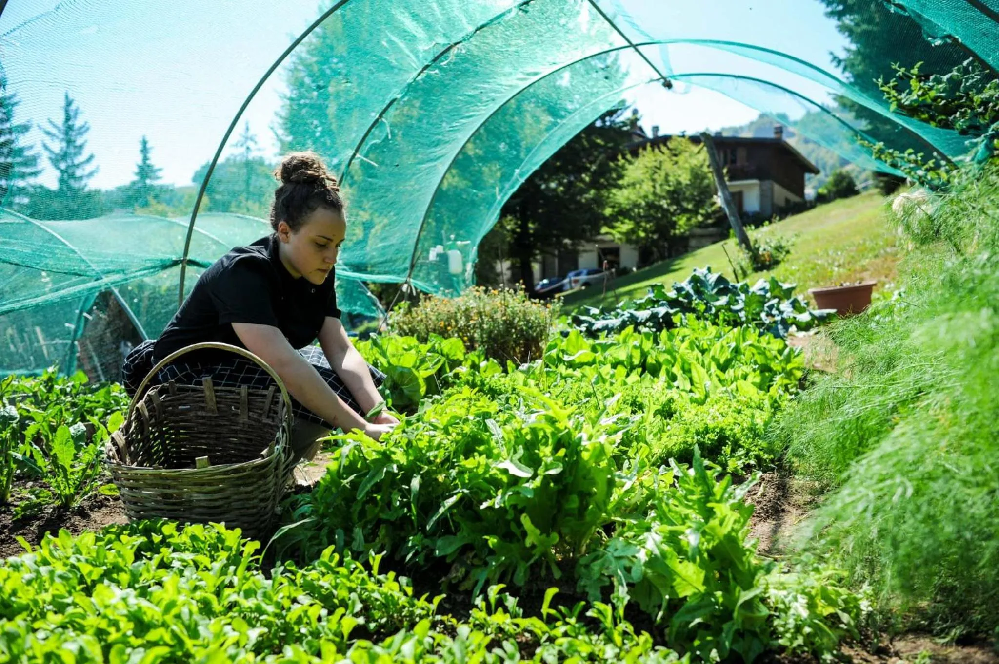 Food close-up in Hotel Miramonti Family & SPA