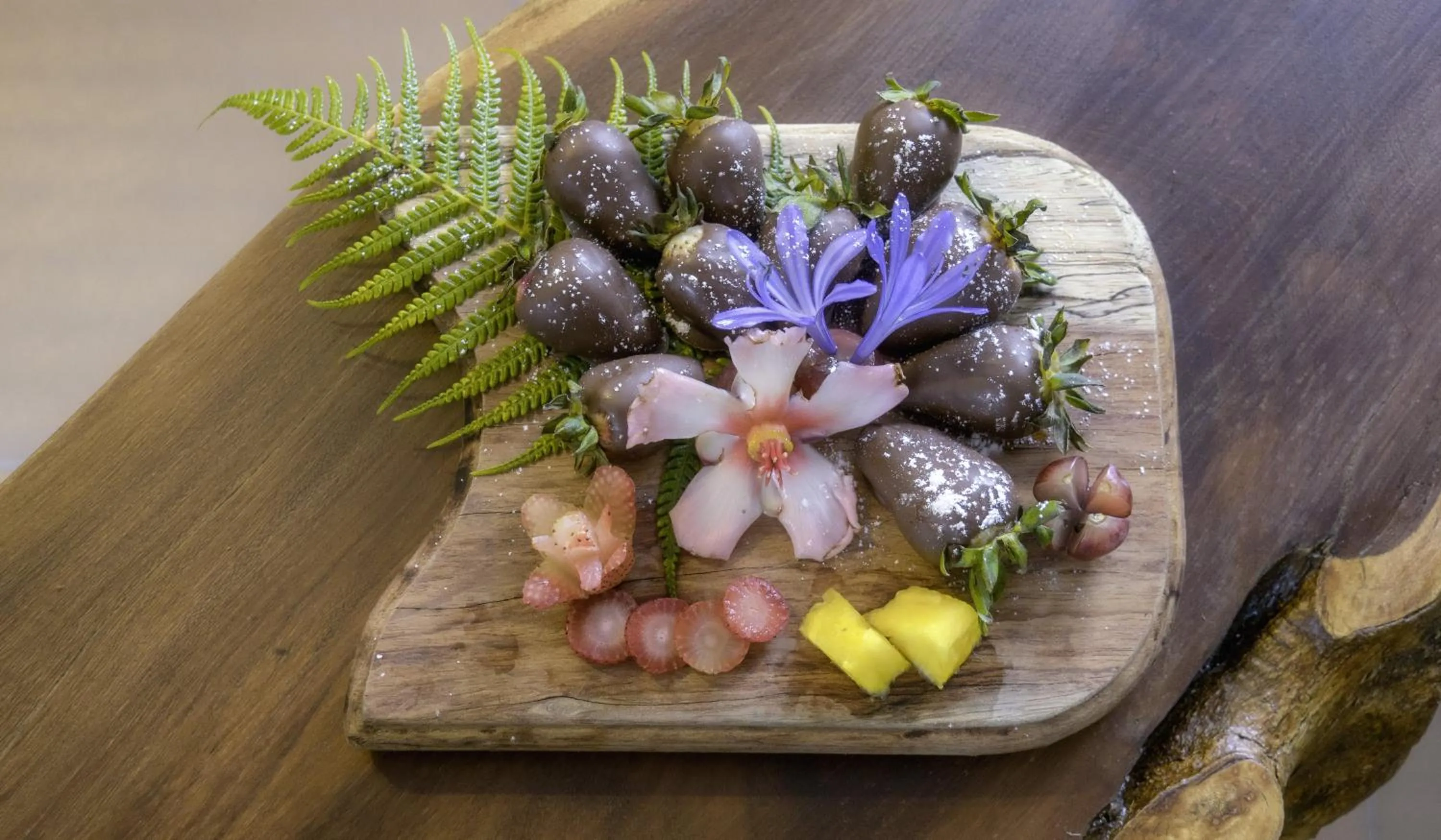 Food and drinks in Termales El Otoño