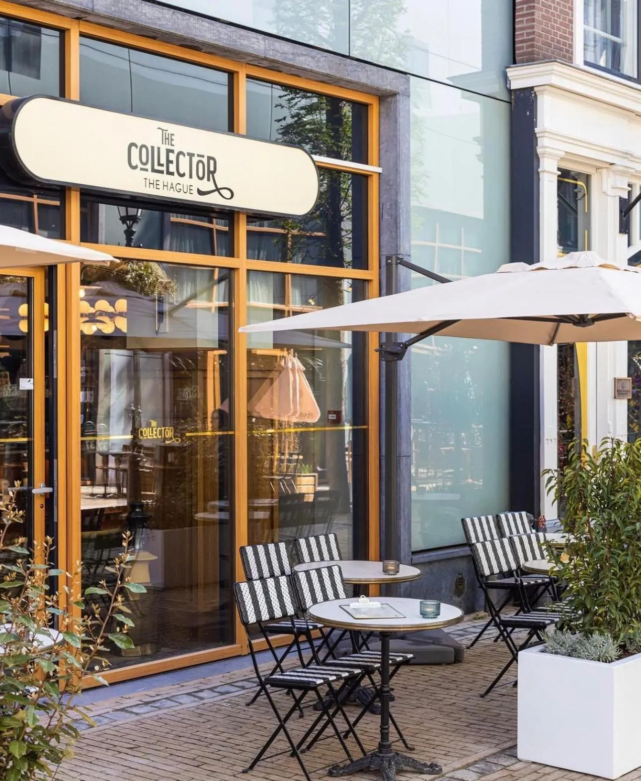 Property building in The Collector