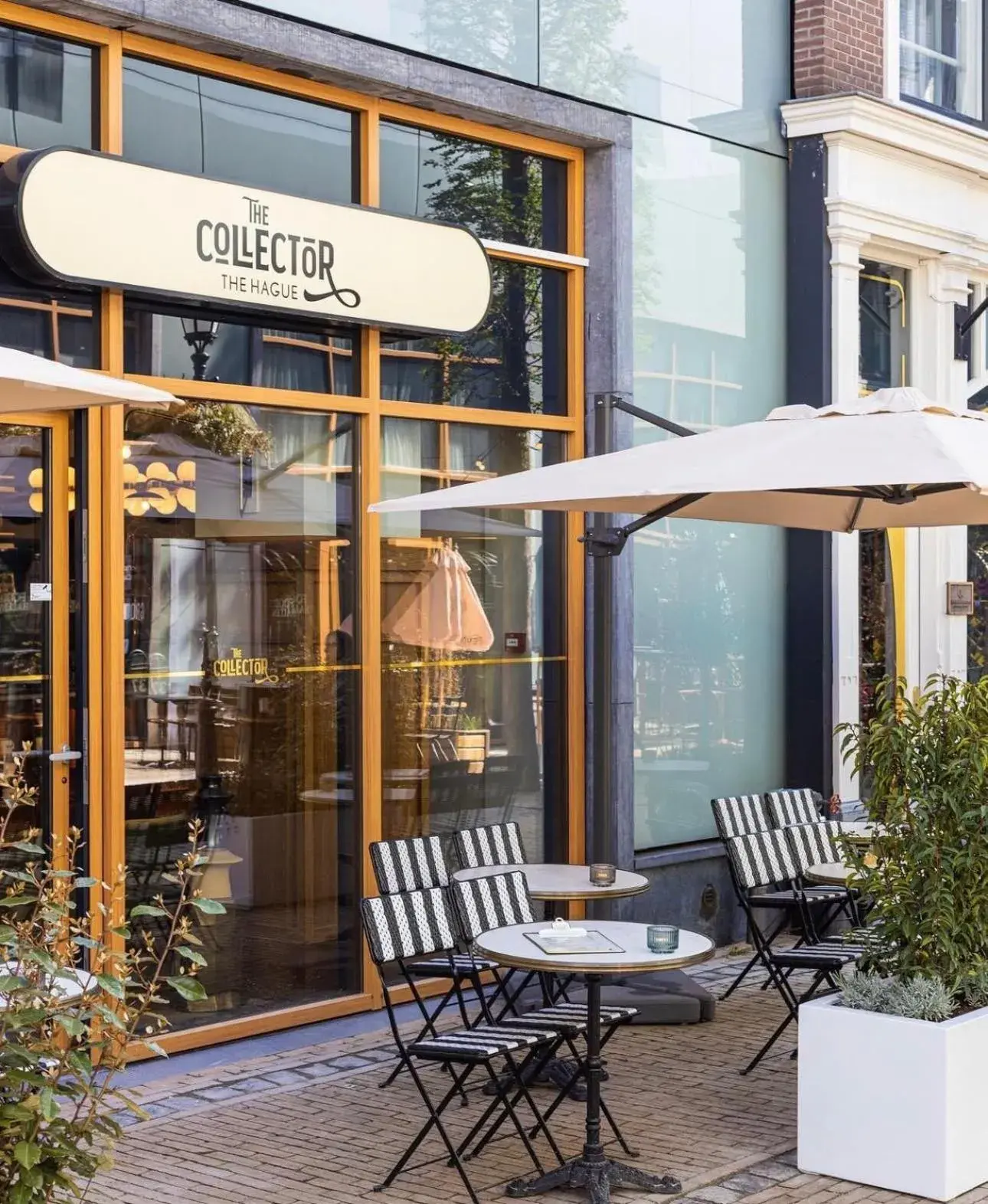 Property building in The Collector Property building in The Collector