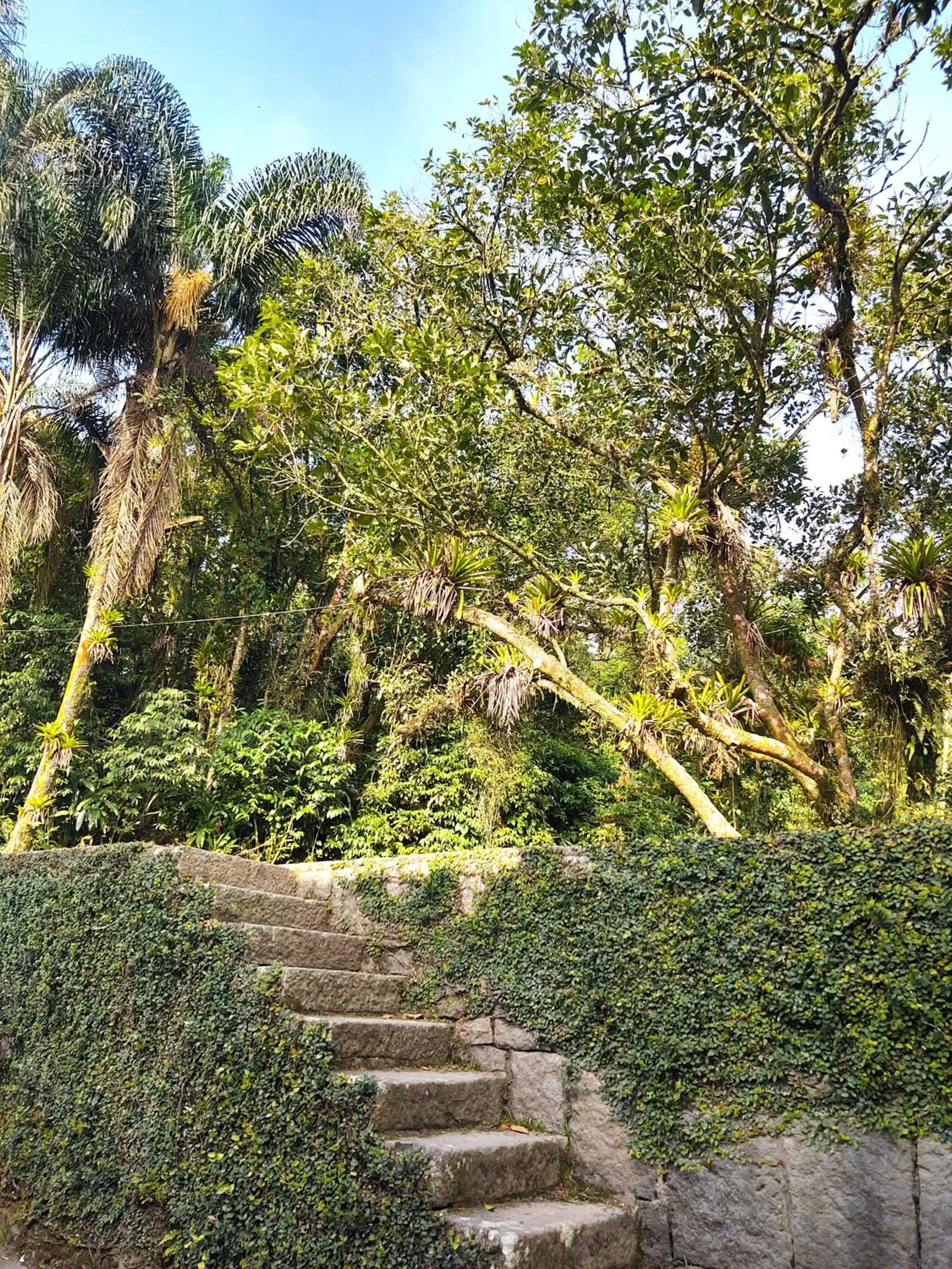 Garden in Pousada Shamballah Paranapiacaba
