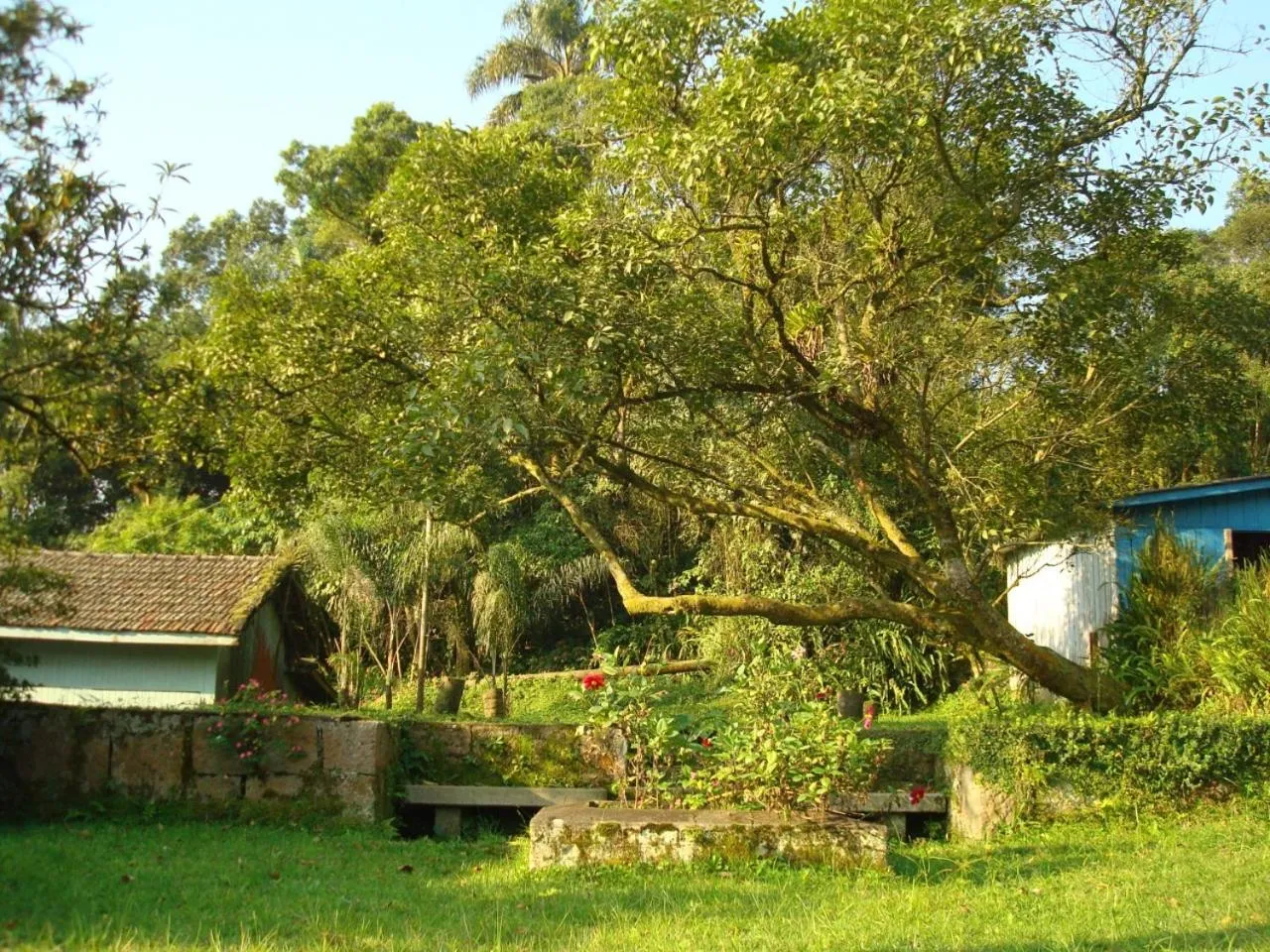 Garden view in Pousada Shamballah Paranapiacaba