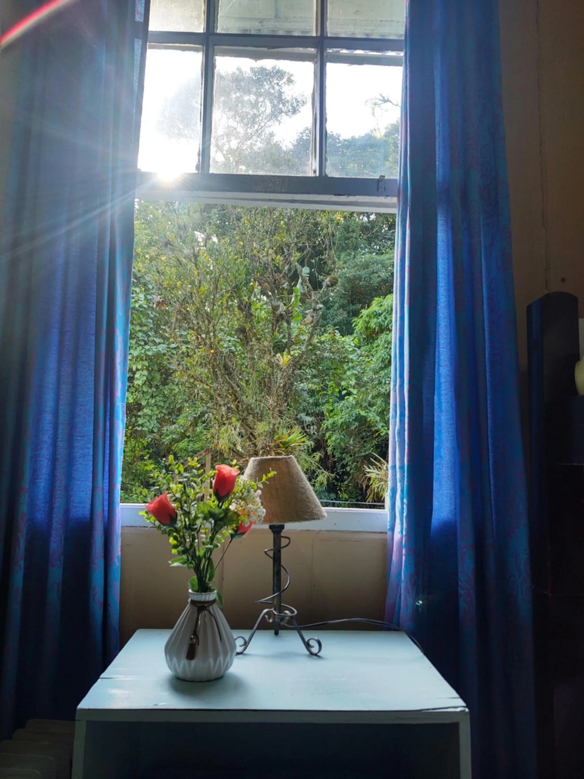 Garden view in Pousada Shamballah Paranapiacaba