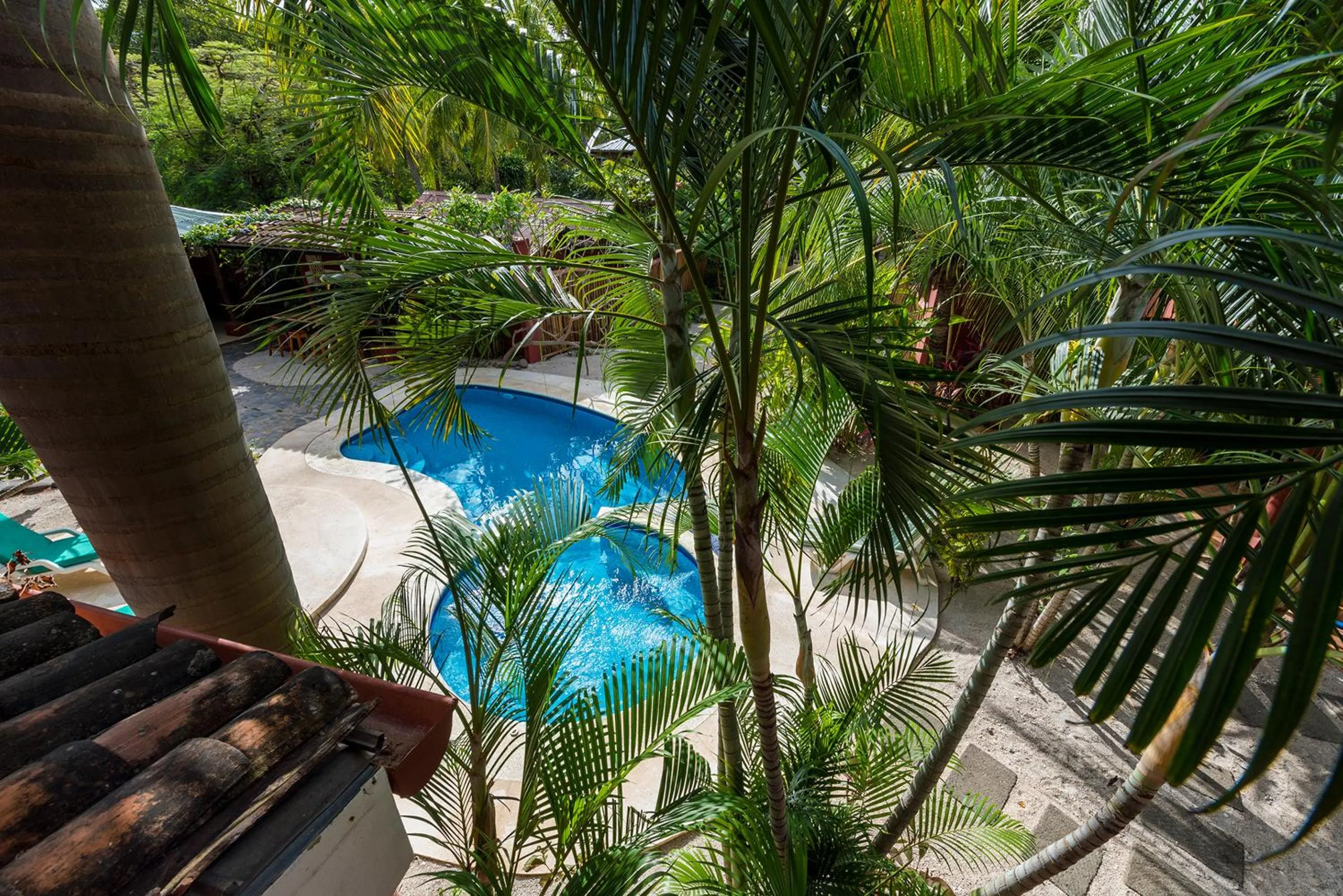 Swimming pool in Boutique Surf Hotel Rip Jack Inn