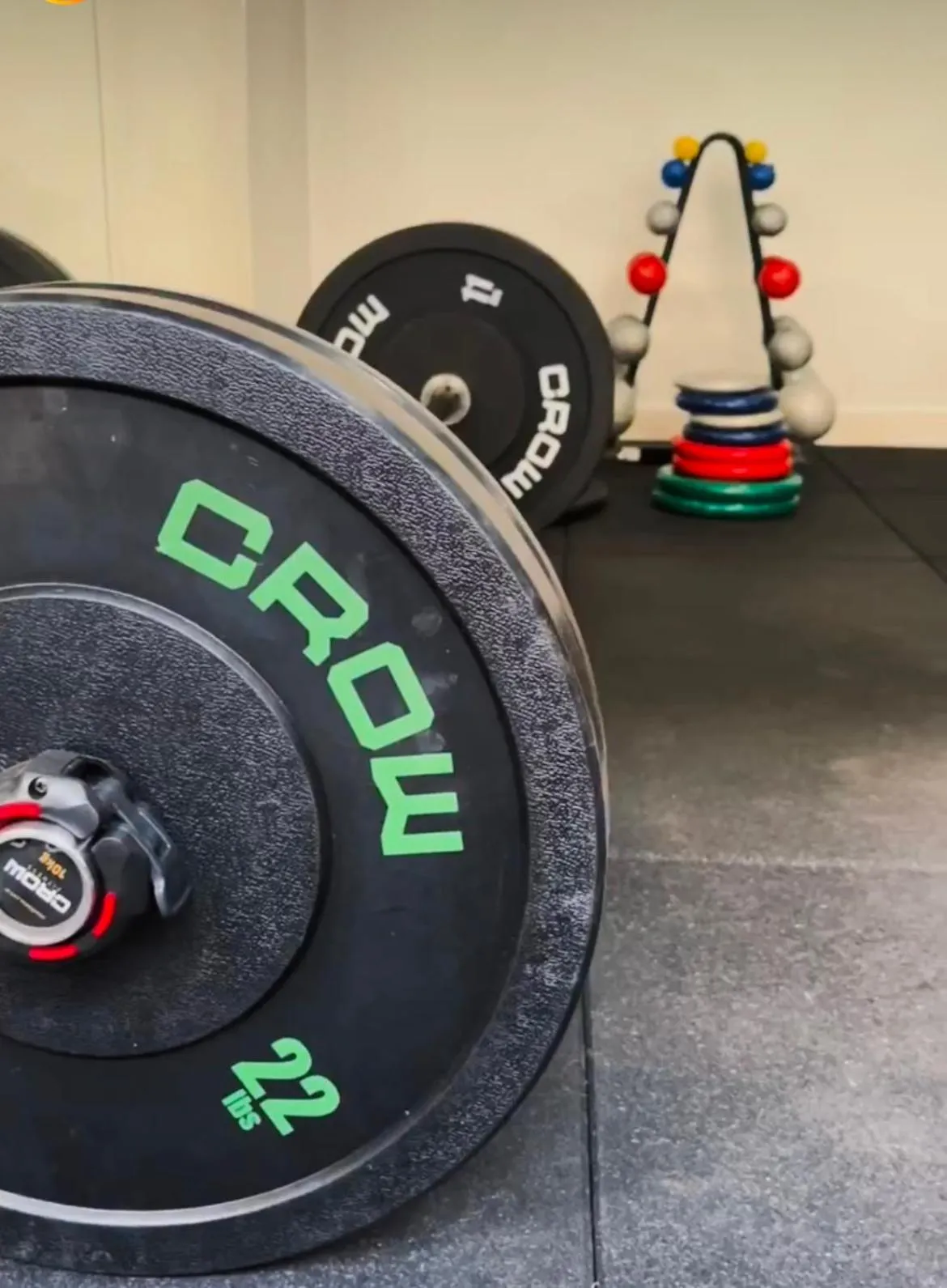 Fitness centre/facilities in Taj Hotel