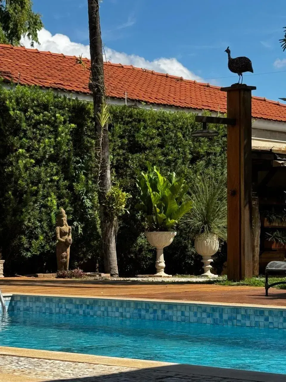 Swimming pool in Taj Hotel Swimming pool in Taj Hotel