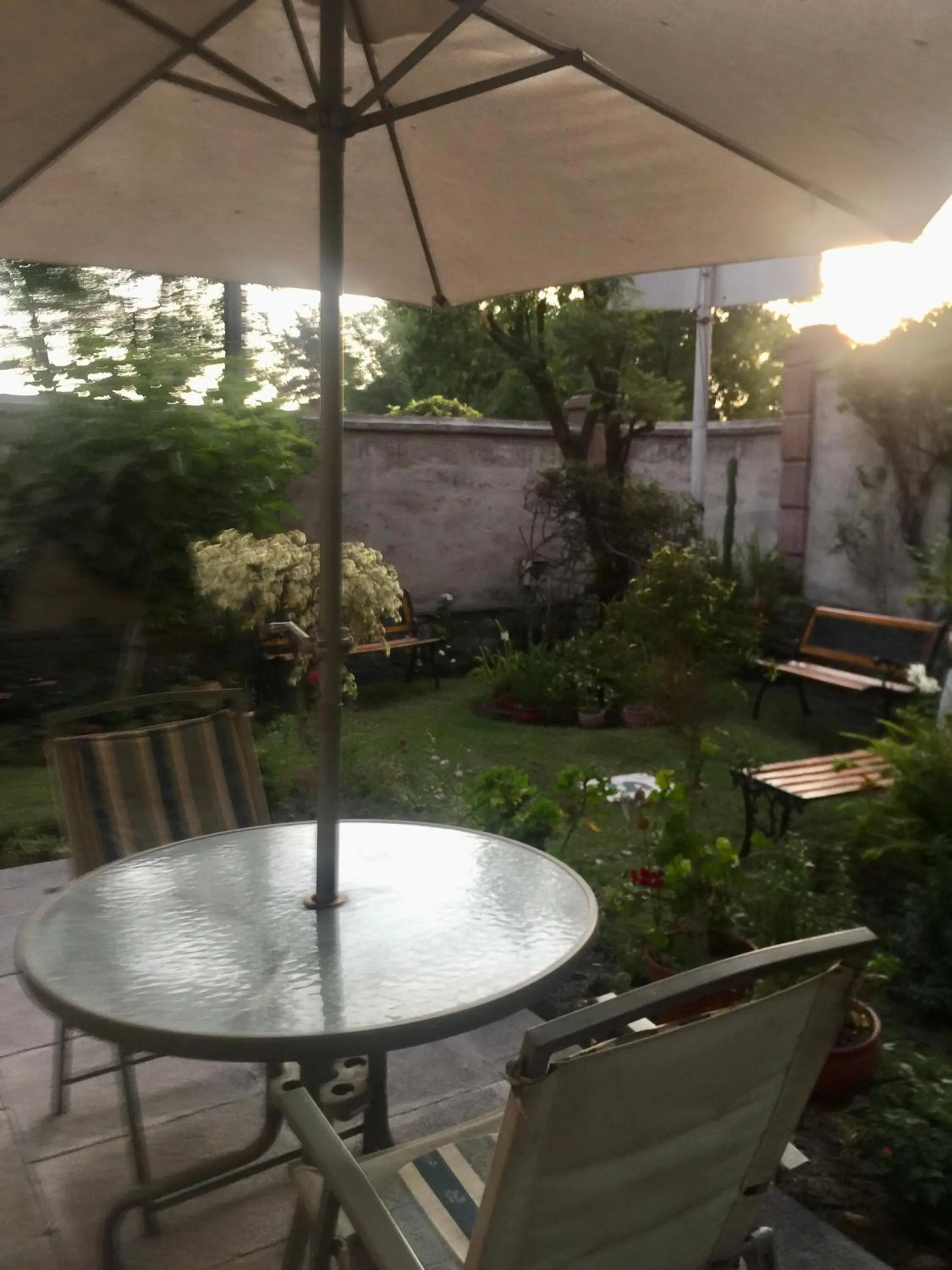 Garden view in El Balcon Hostal Turistico