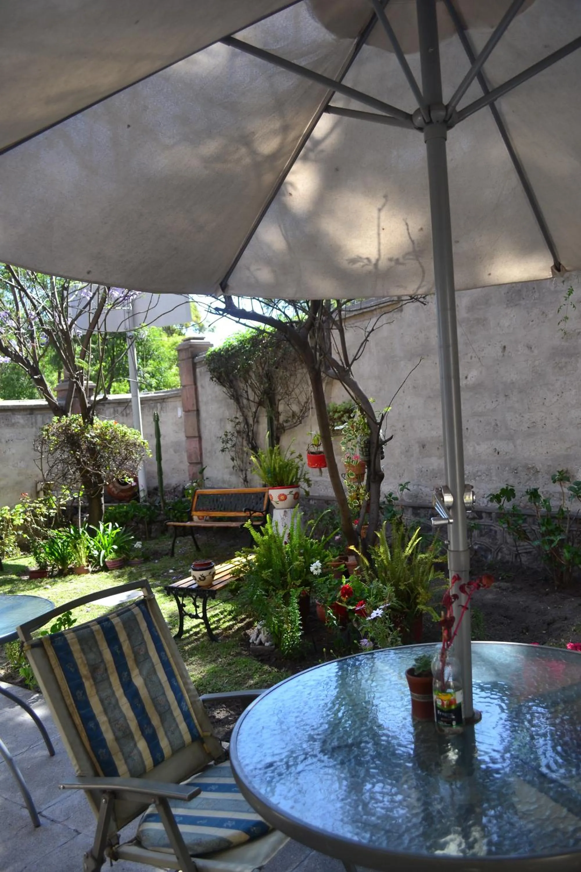Garden in El Balcon Hostal Turistico
