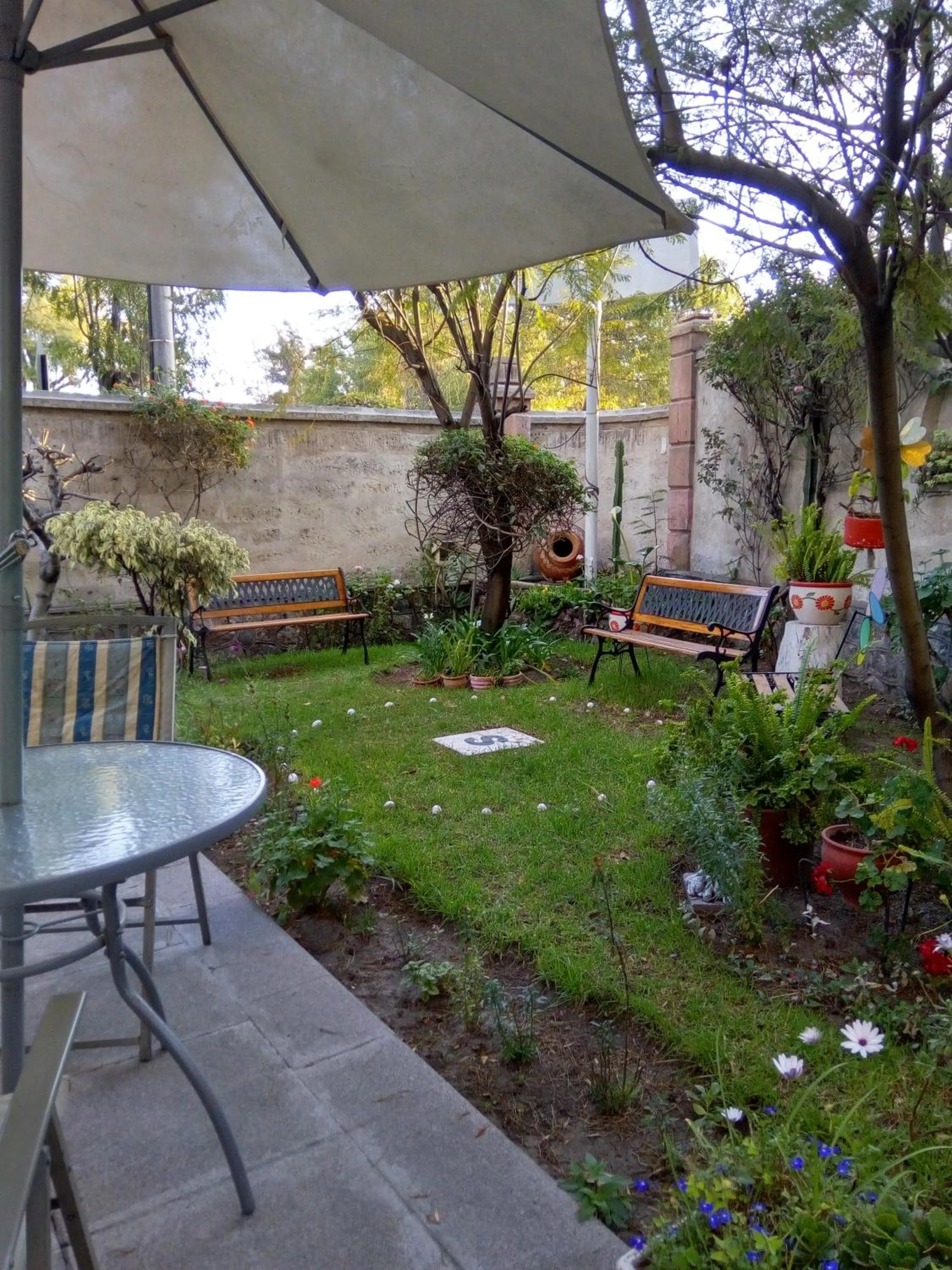 Garden in El Balcon Hostal Turistico