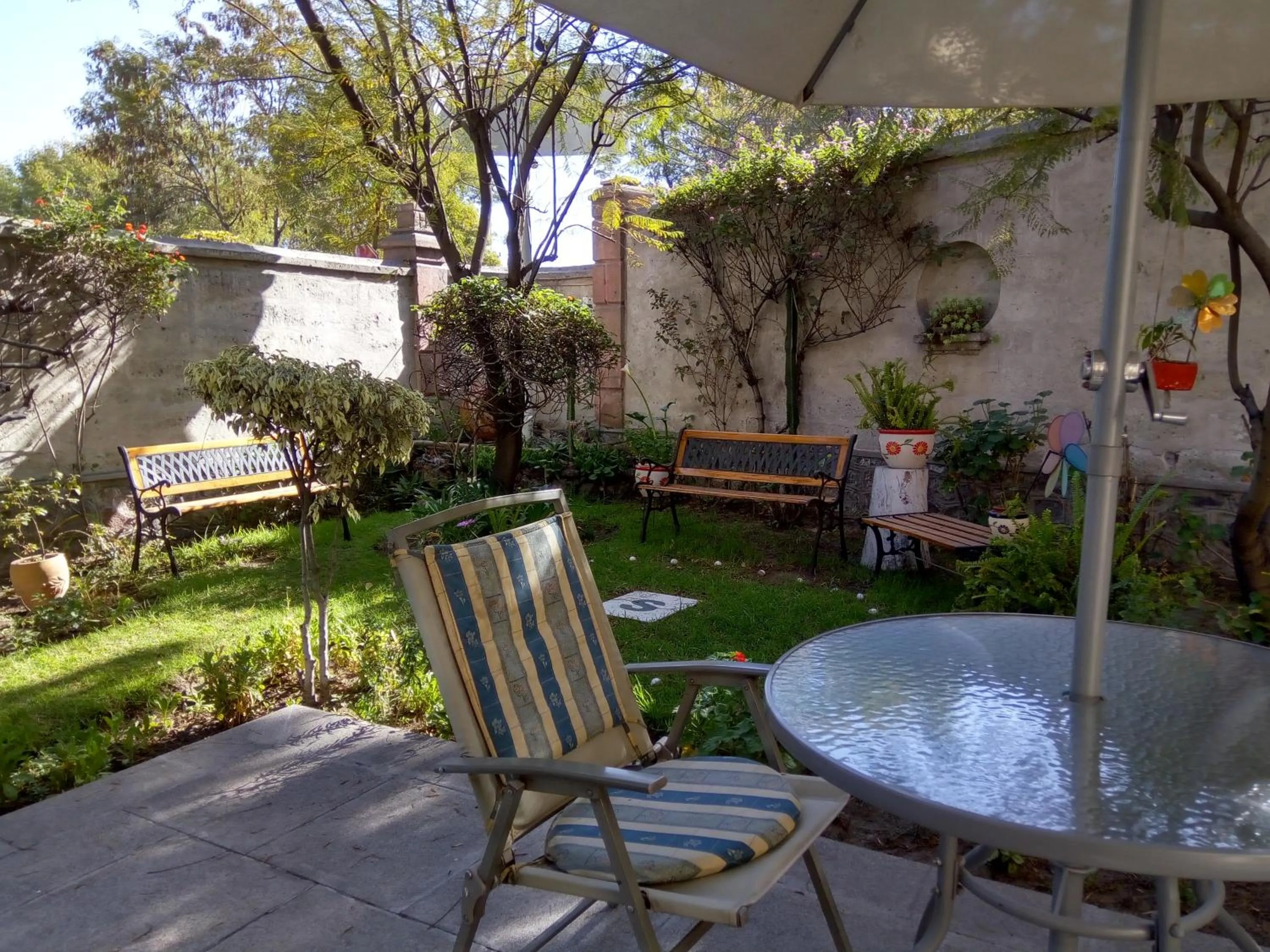 Garden in El Balcon Hostal Turistico