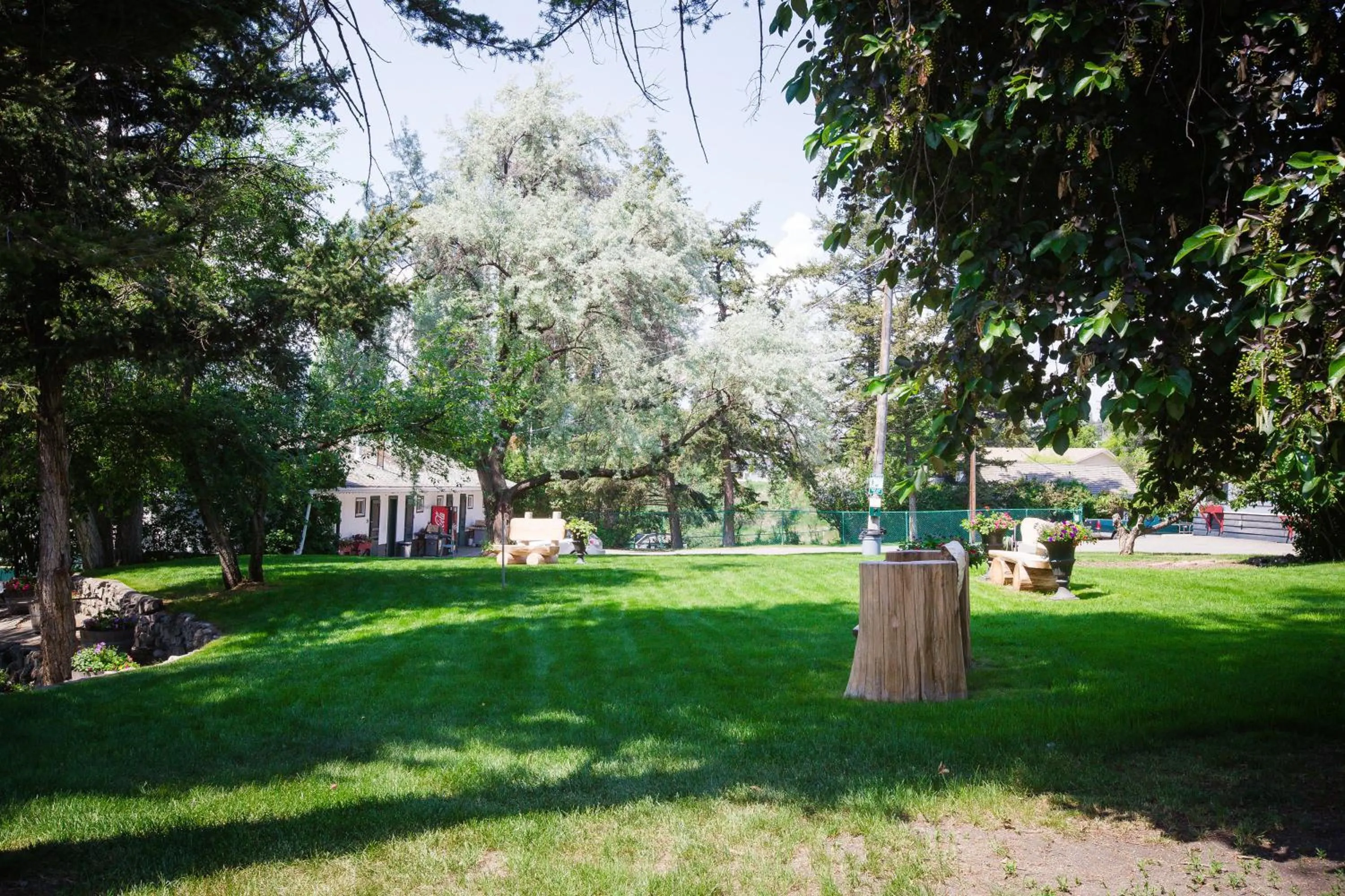 Natural landscape in Lakeside Motel