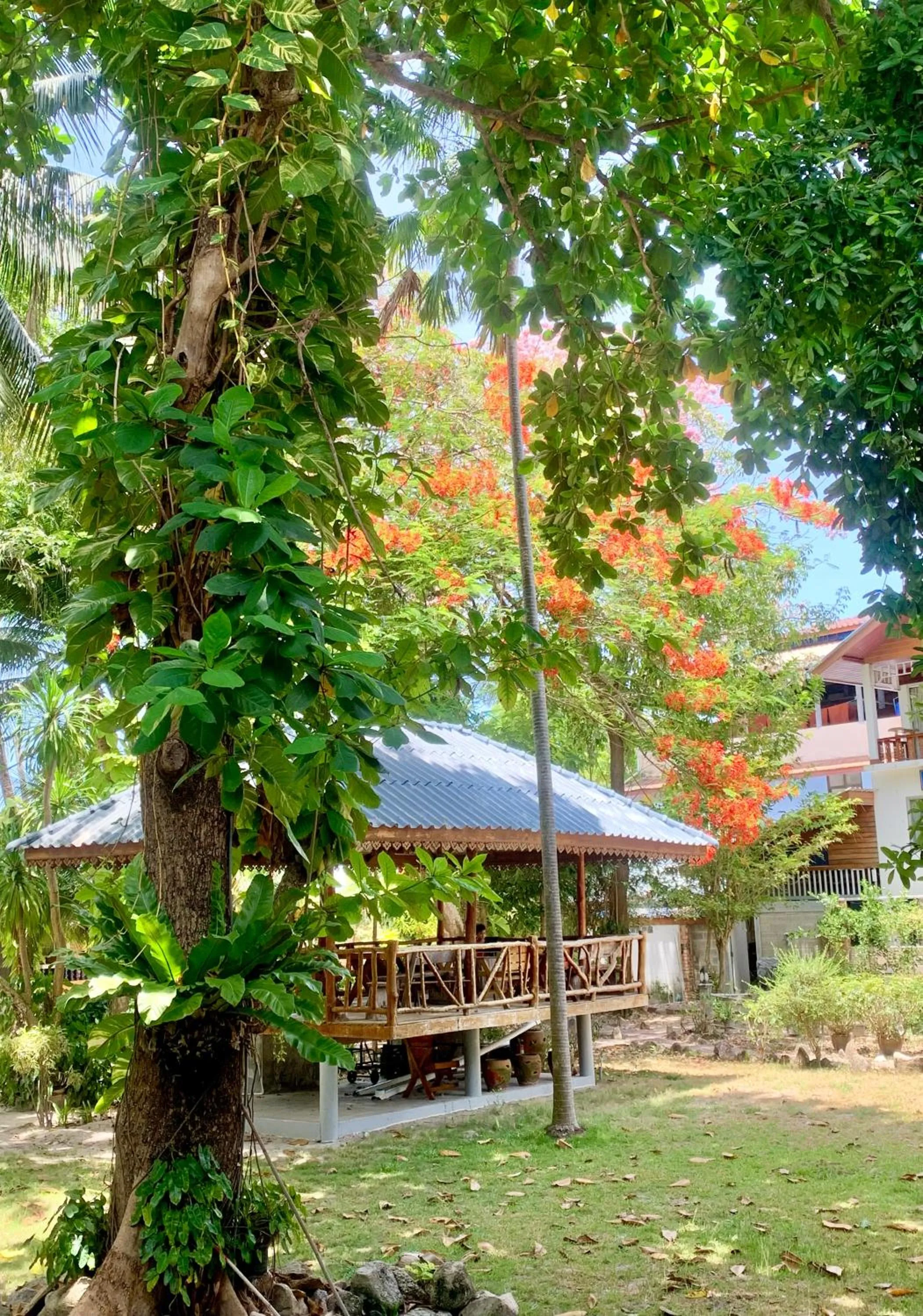 Koh Tao Tropicana Resort