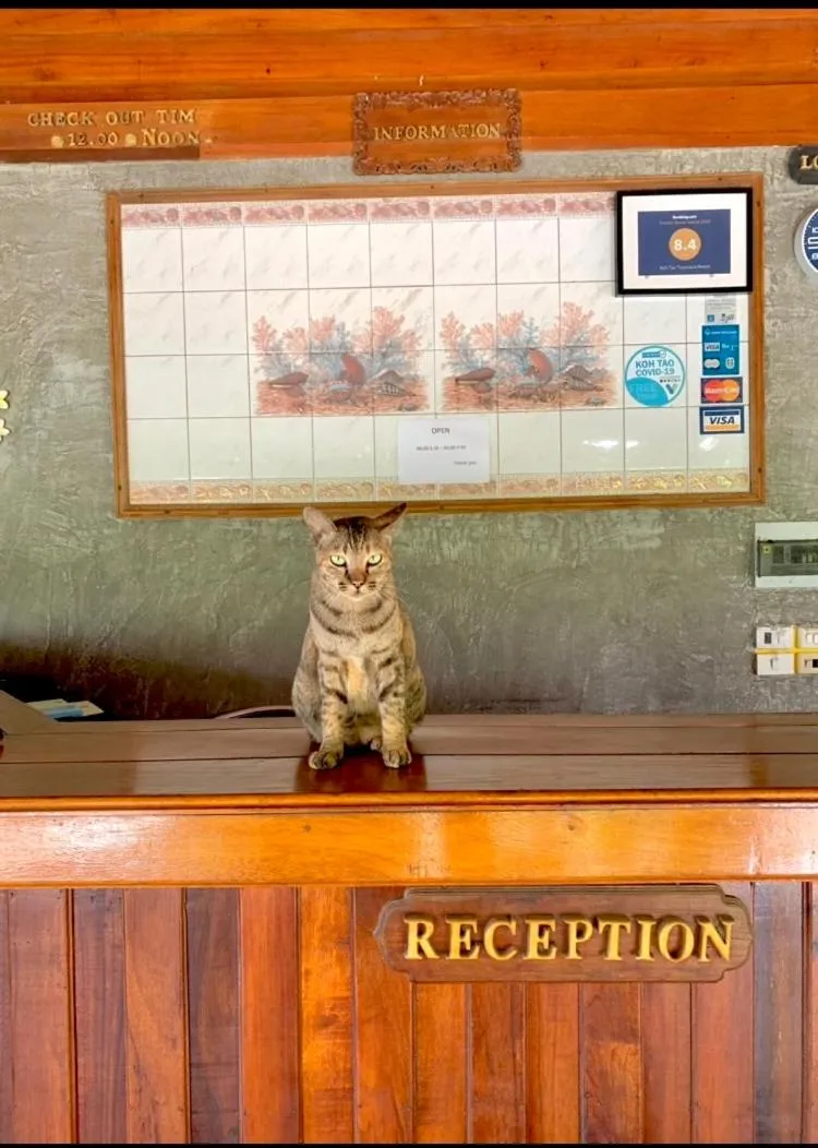 Koh Tao Tropicana Resort