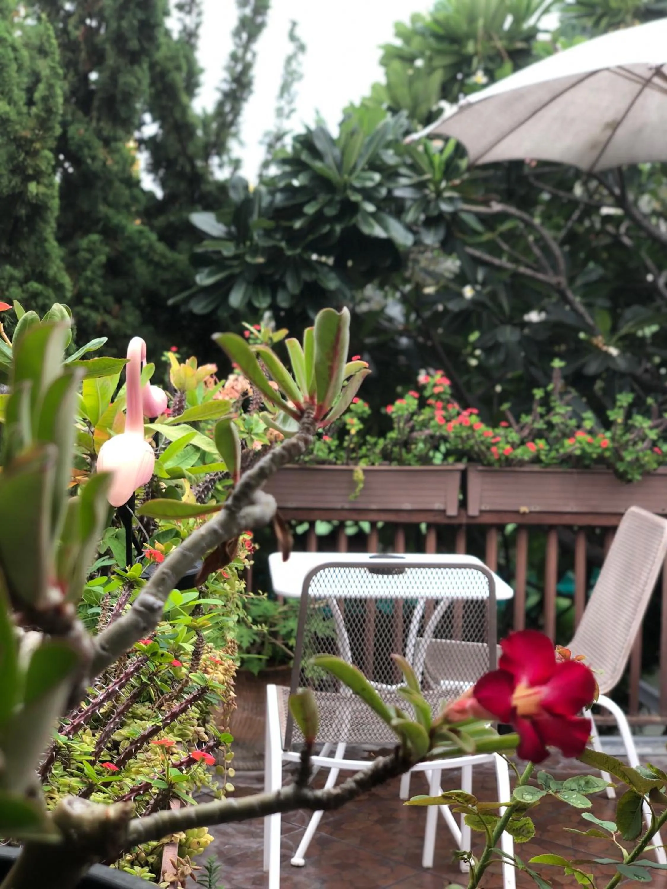 Seating area in Thongran's House