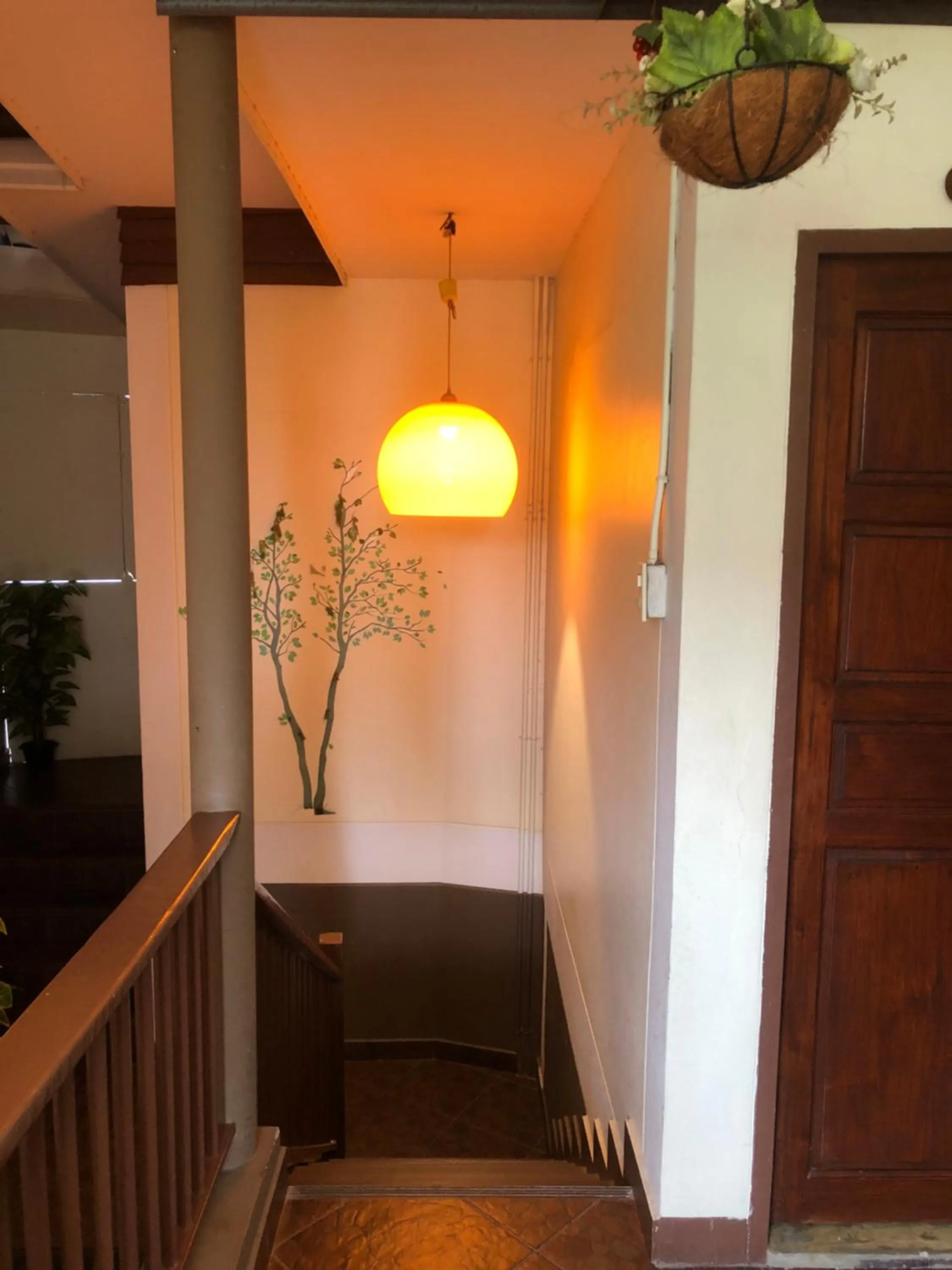 Property building in Thongran's House