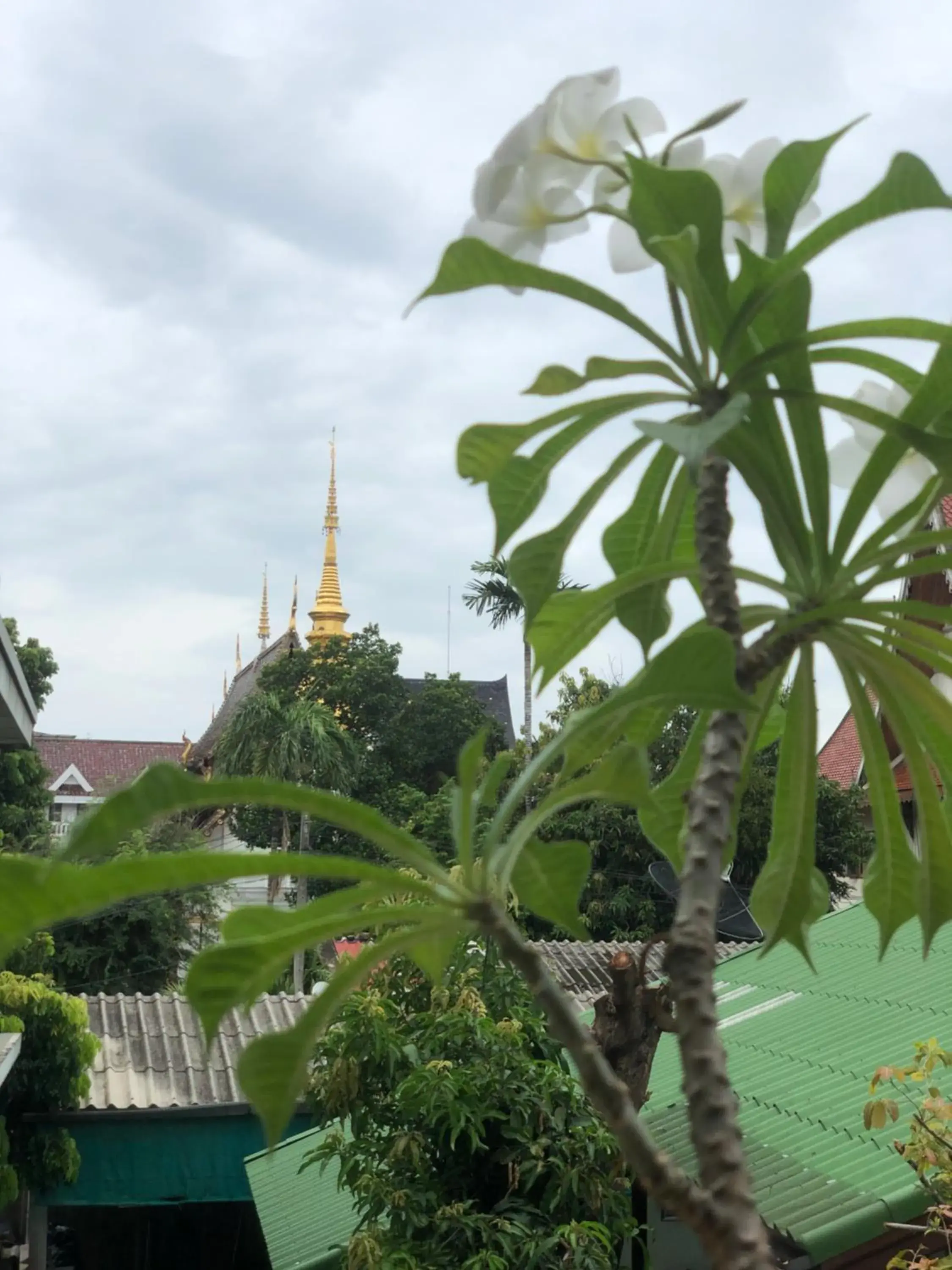 View (from property/room) in Thongran's House View (from property/room) in Thongran's House