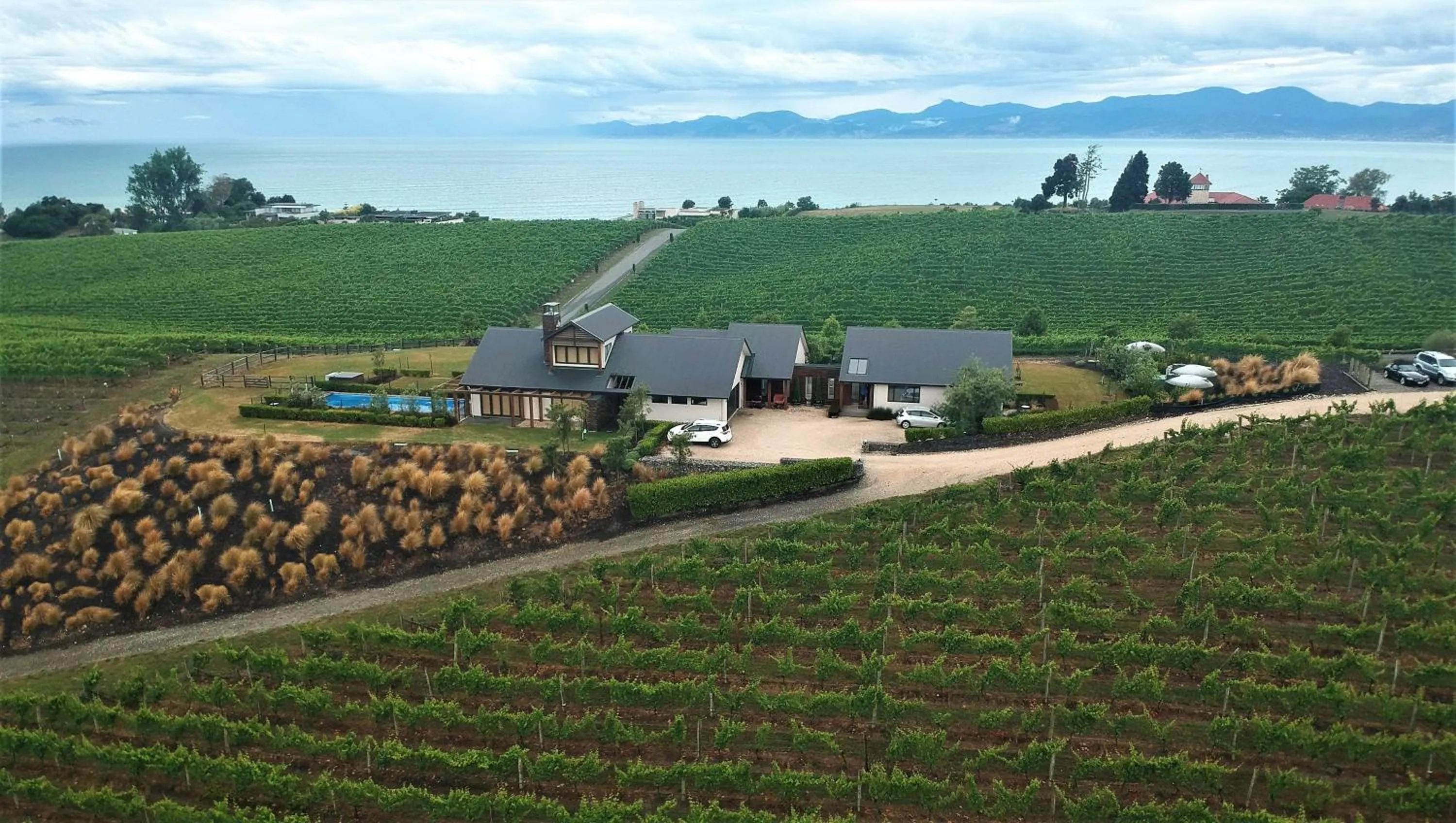 Pine Hill Lodge In Vineyard