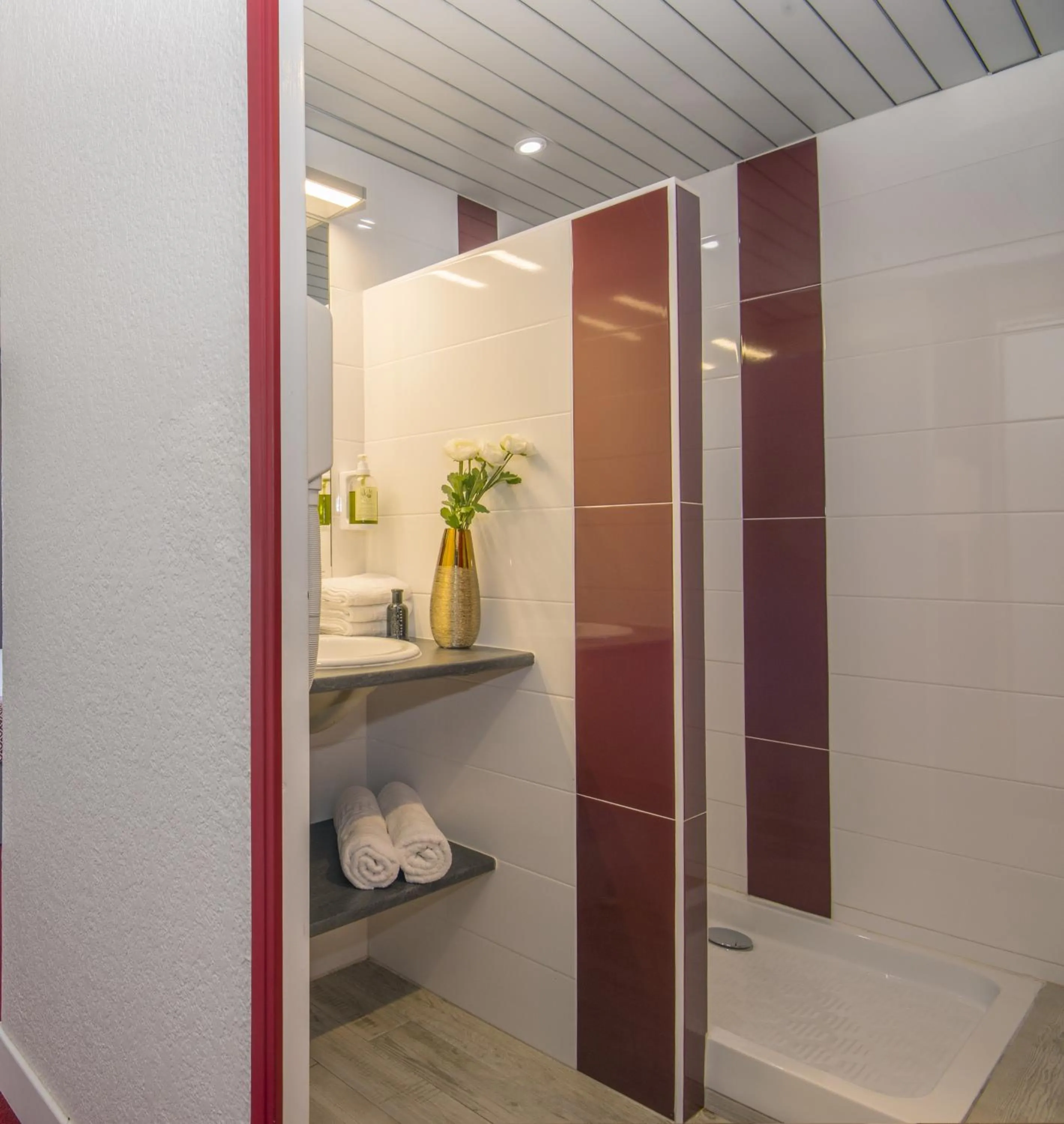 Shower in Hotel du Forum