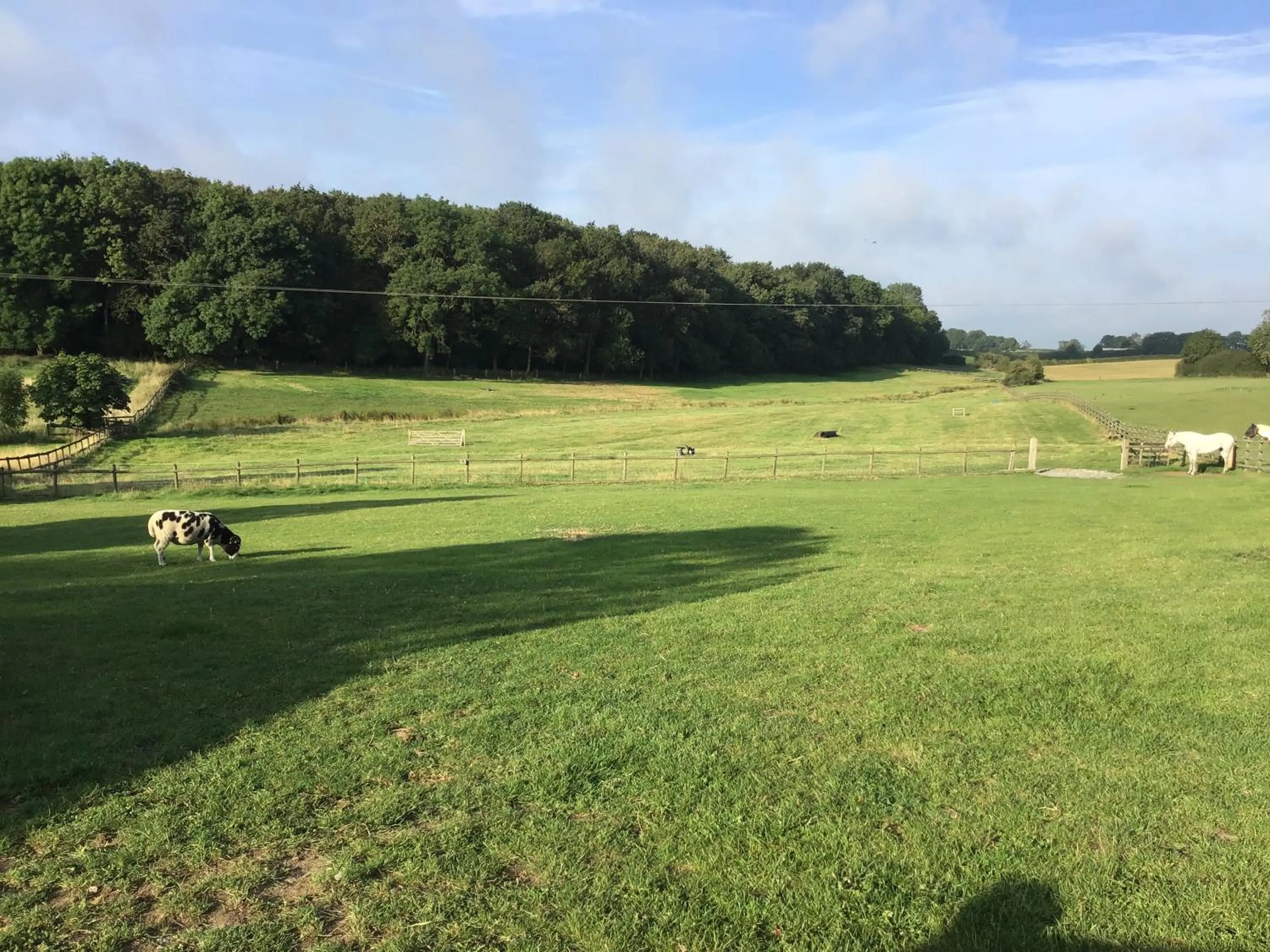 Day in The Grange Silverstone