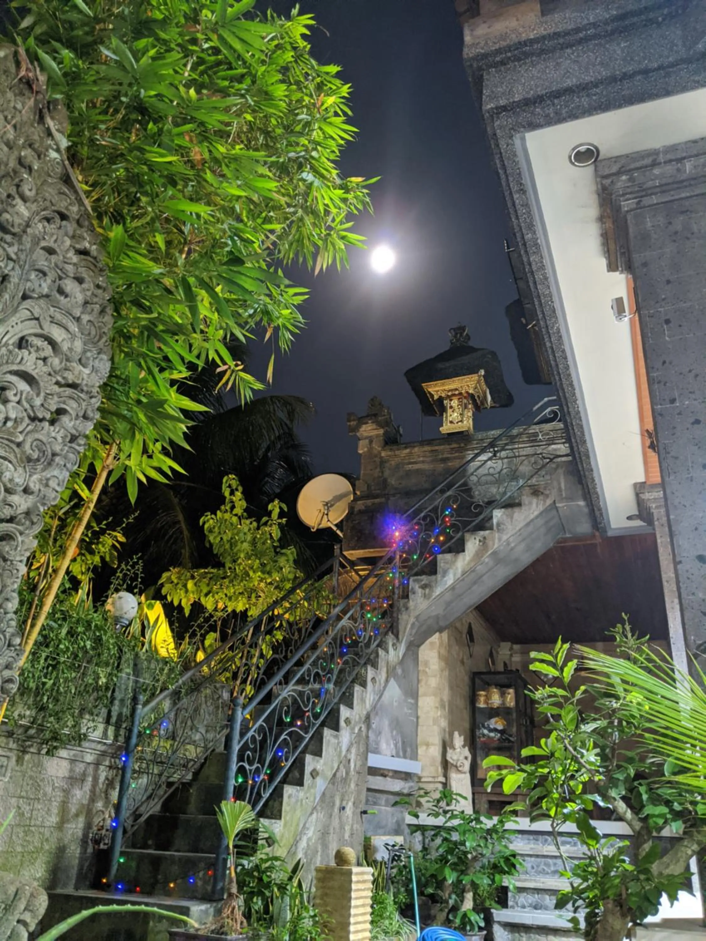 Property building in Ubud Dream