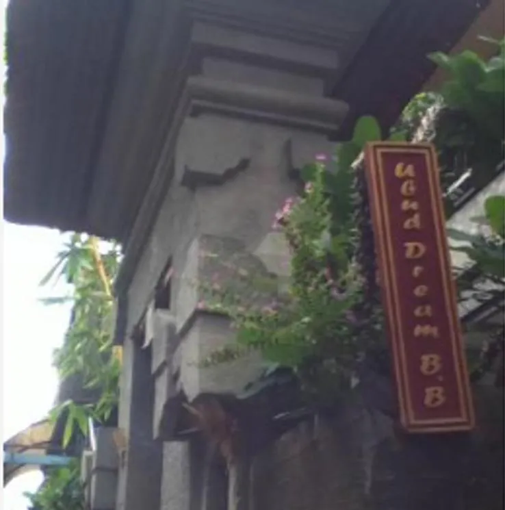 Property building in Ubud Dream