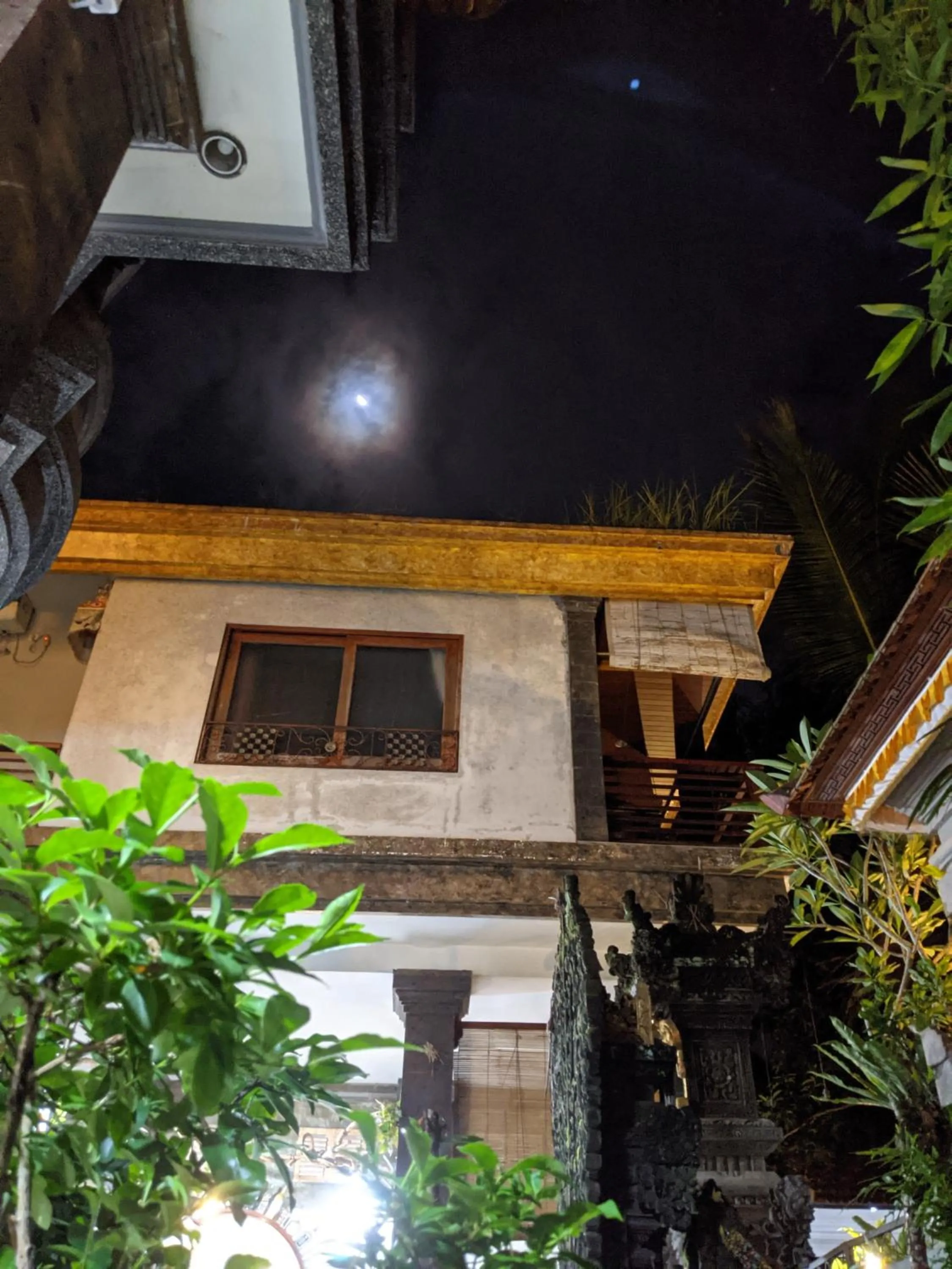 Ubud Dream