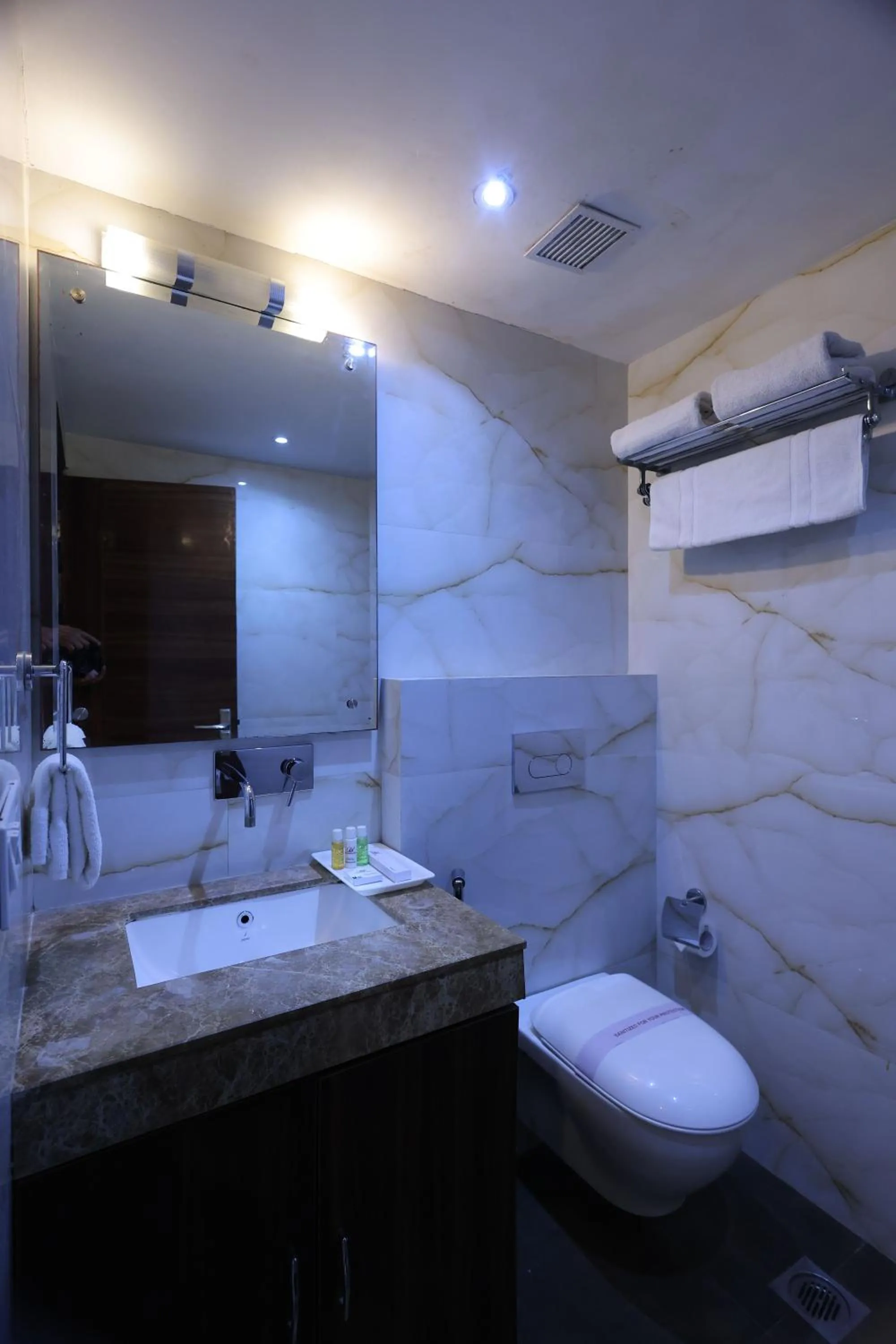 Shower in Airport Hotel Ramhan Palace Mahipalpur