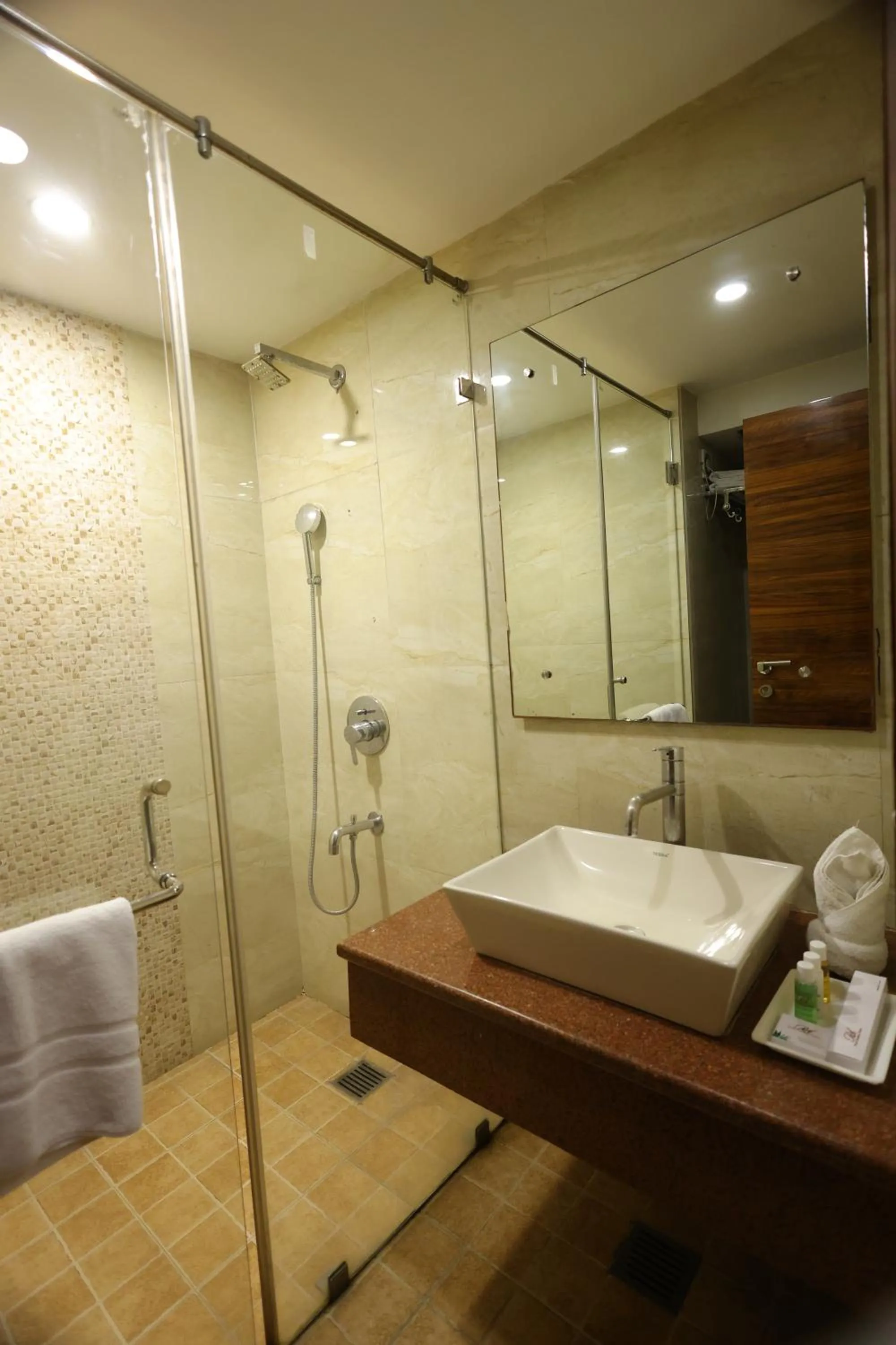 Shower in Airport Hotel Ramhan Palace Mahipalpur
