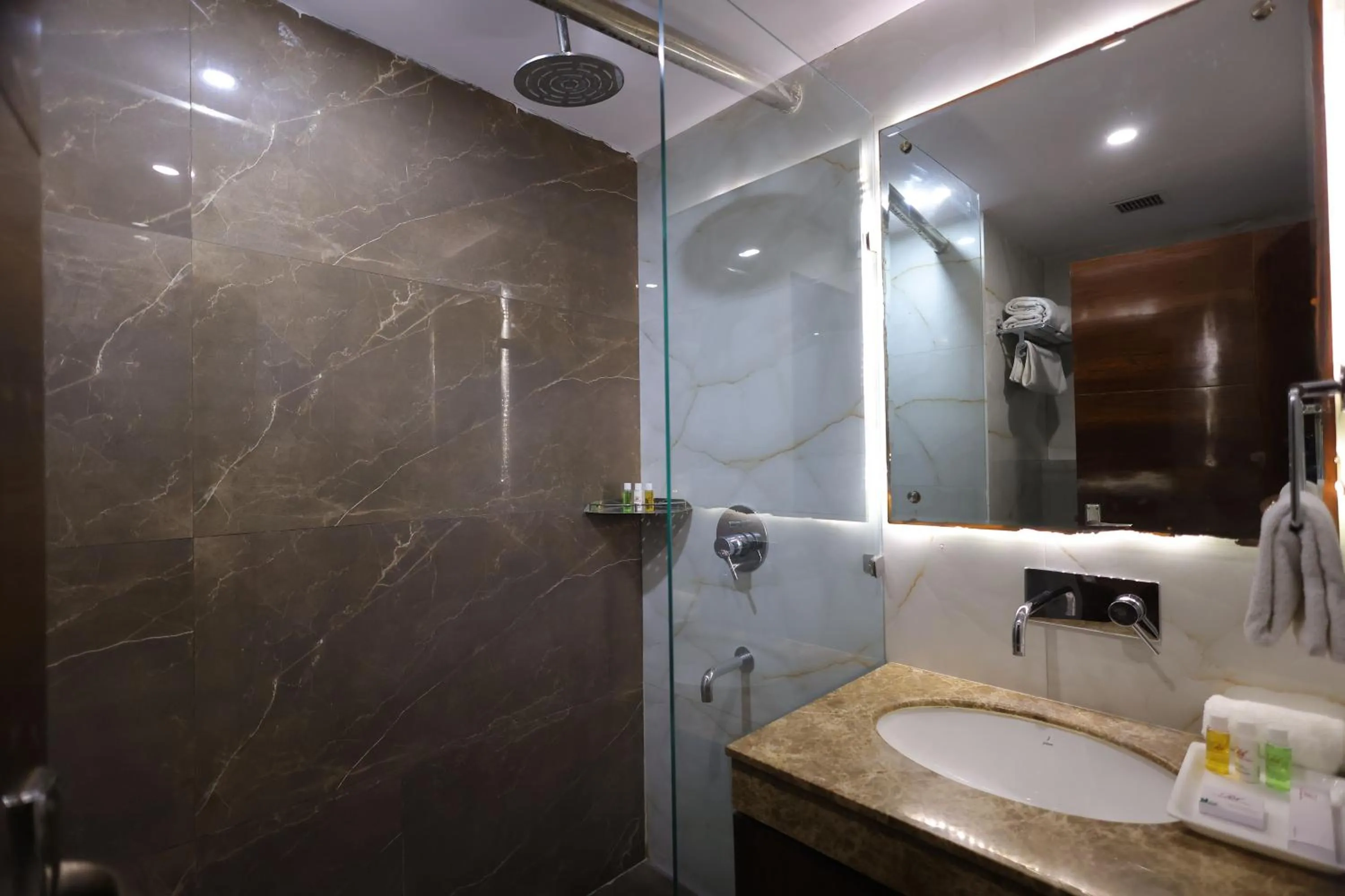 Shower in Airport Hotel Ramhan Palace Mahipalpur