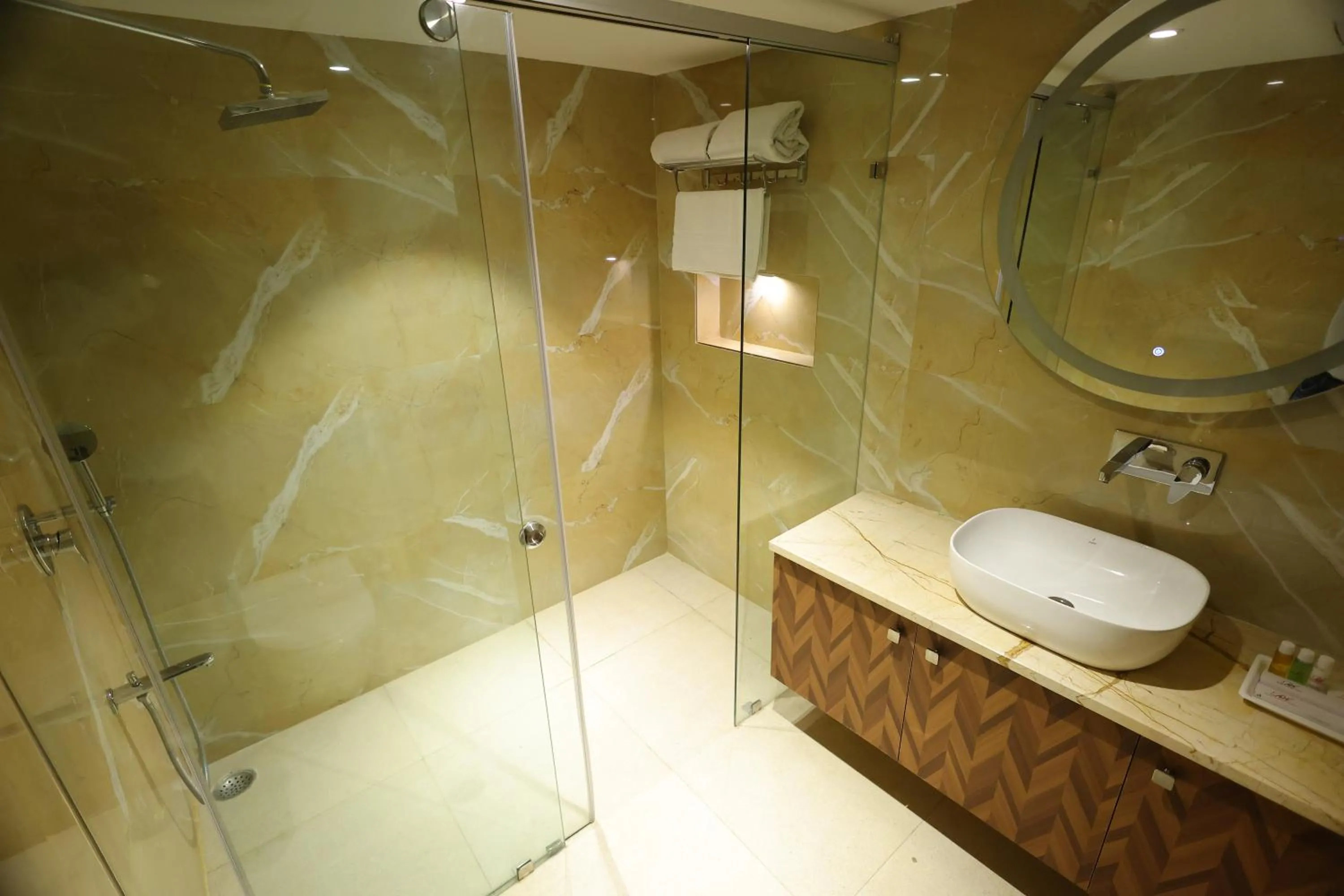 Shower in Airport Hotel Ramhan Palace Mahipalpur