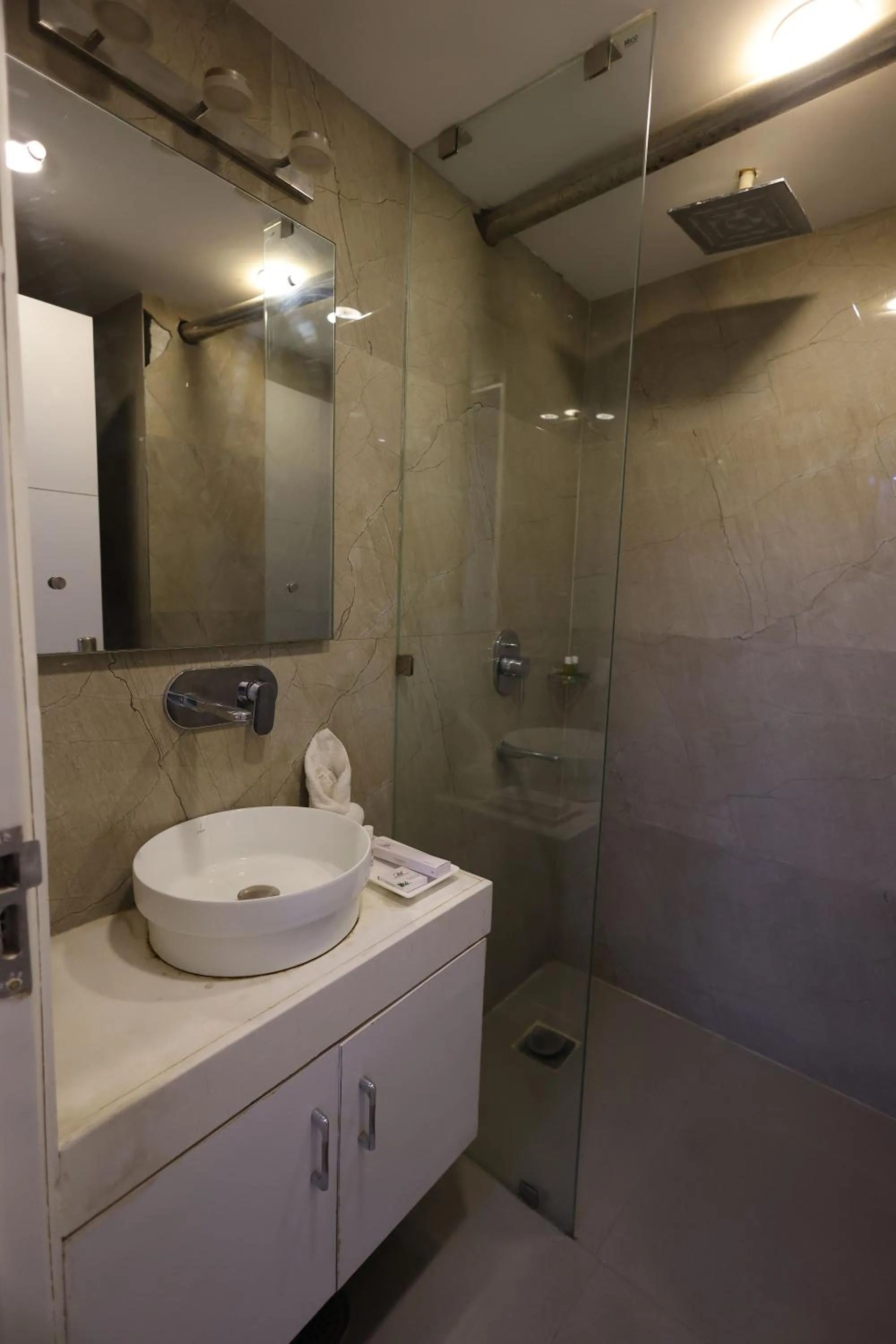 Shower in Airport Hotel Ramhan Palace Mahipalpur