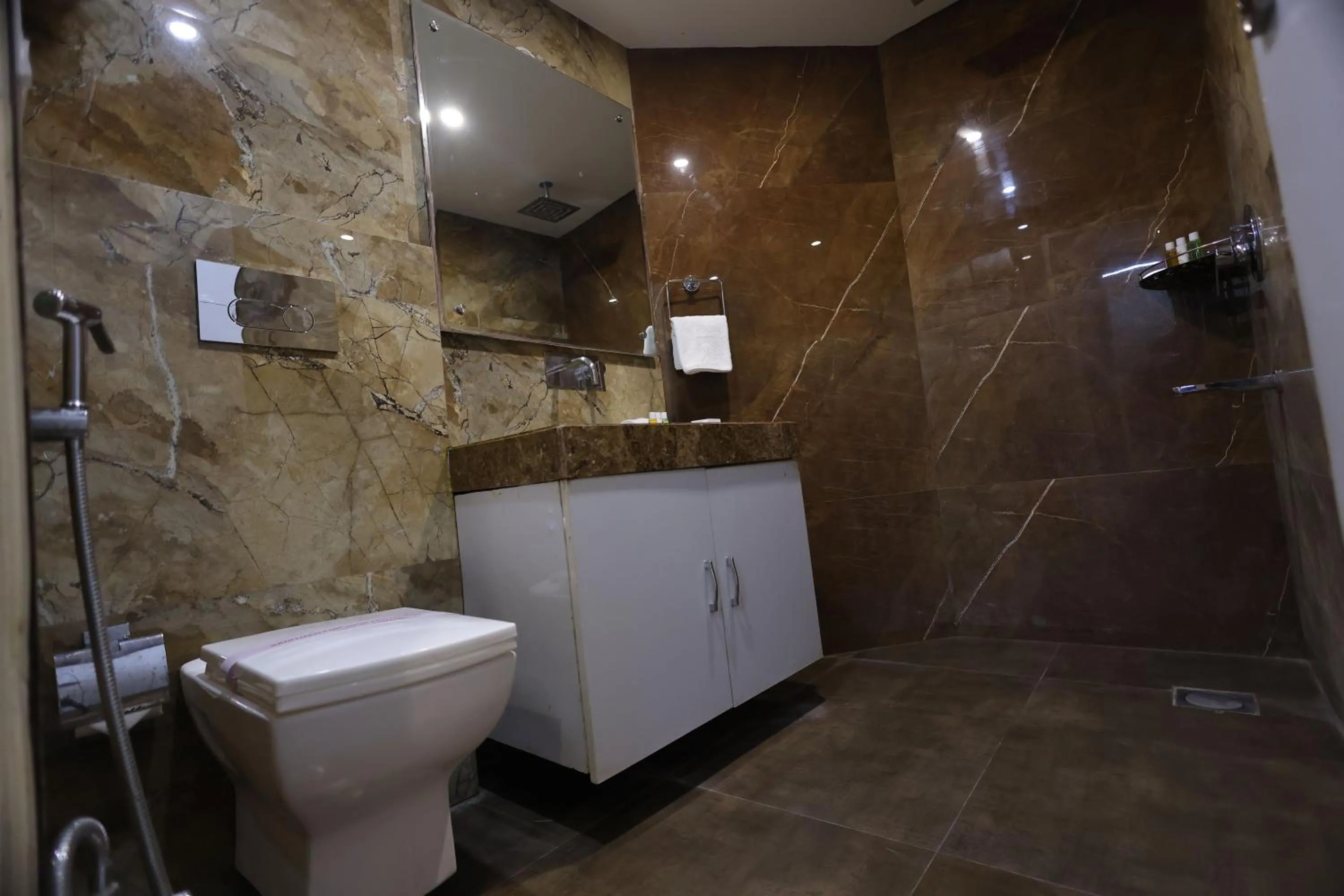 Shower in Airport Hotel Ramhan Palace Mahipalpur