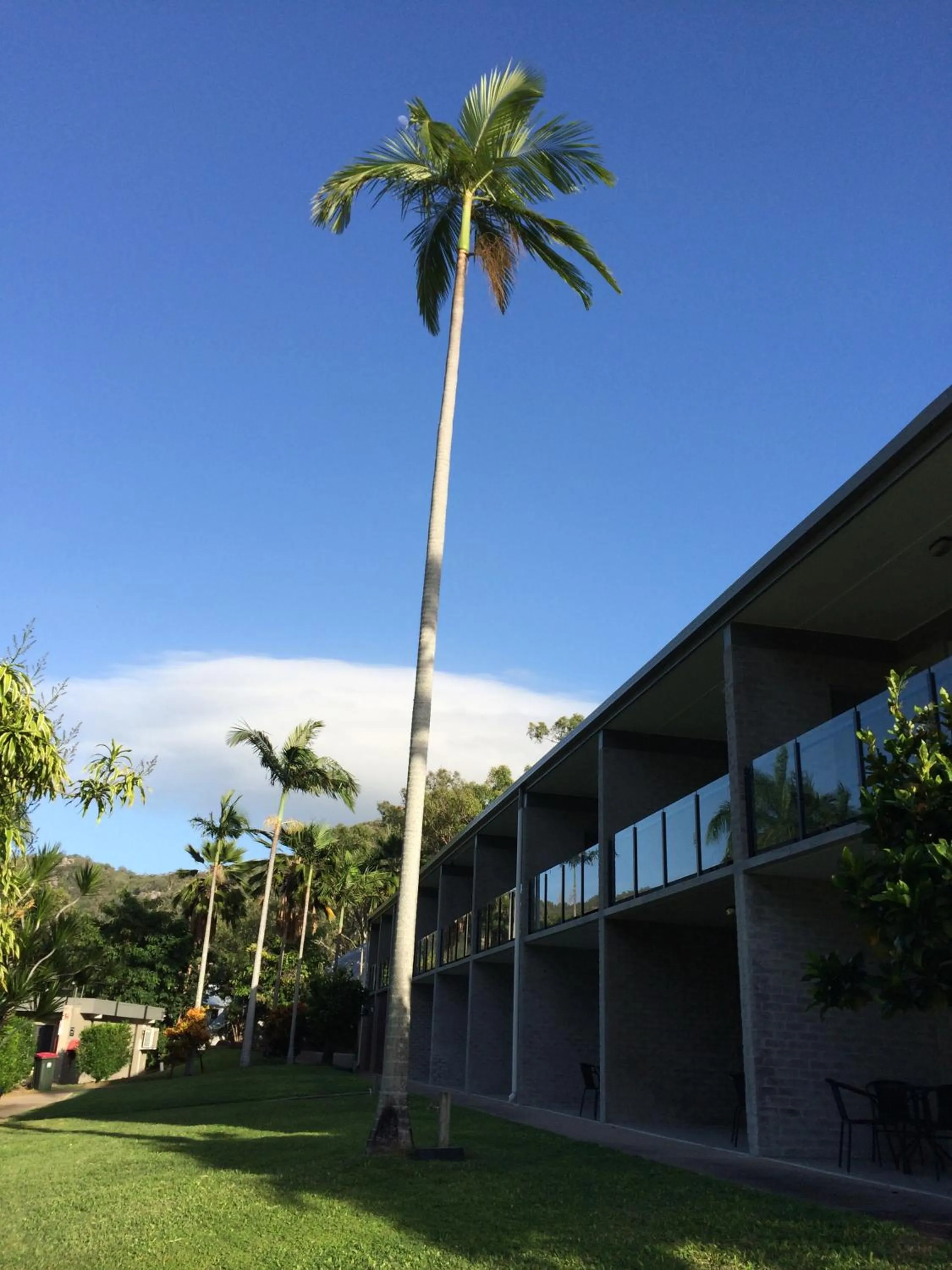 Facade/entrance in Arcadia Village Motel