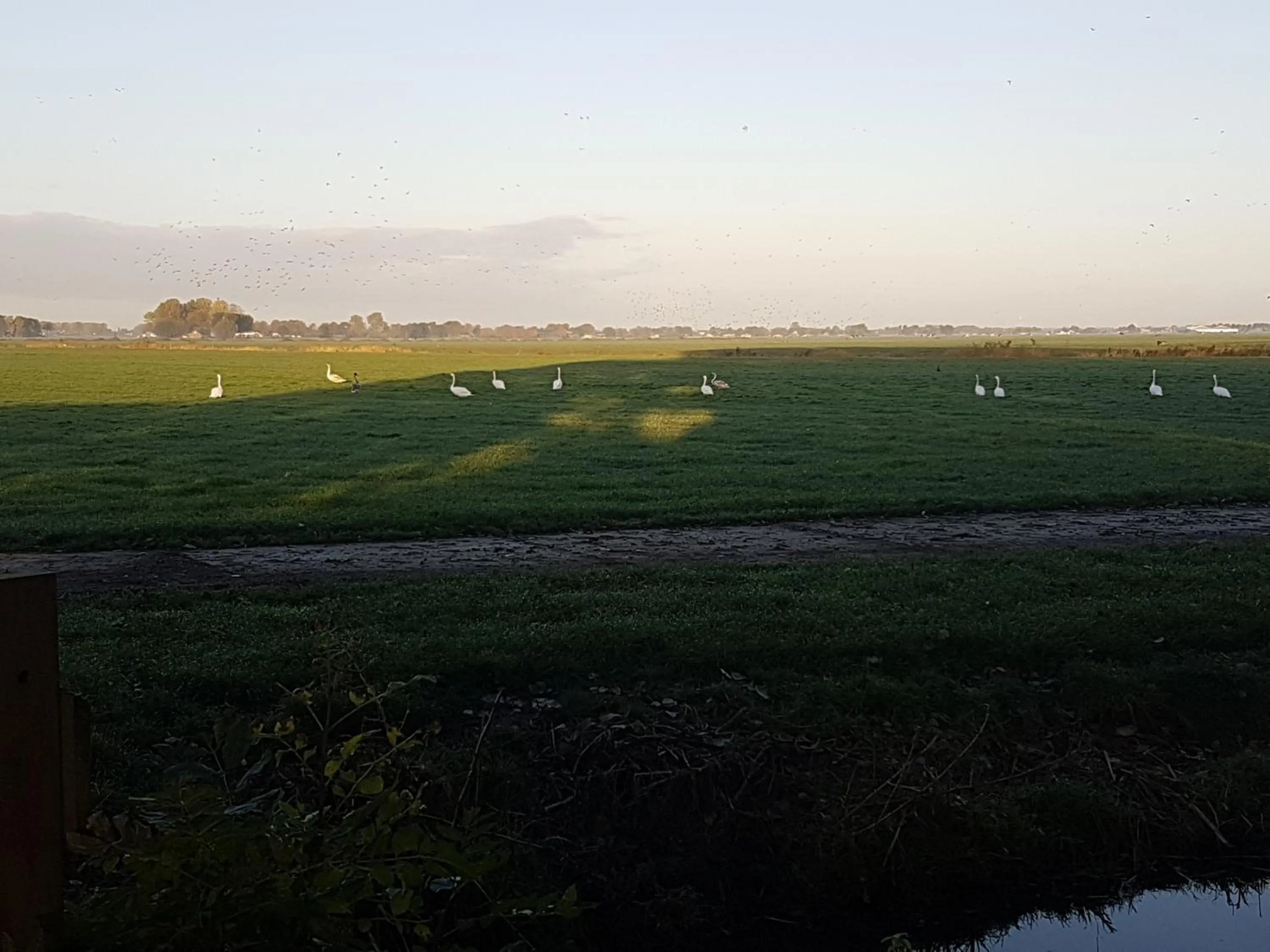 Landmark view in Bed & Breakfast De Koegang