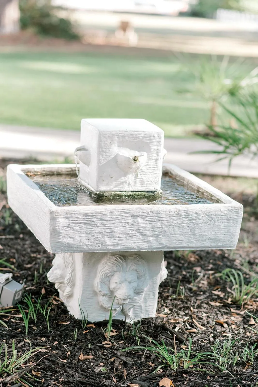 Breakfast in Georgia Palms & Gardens