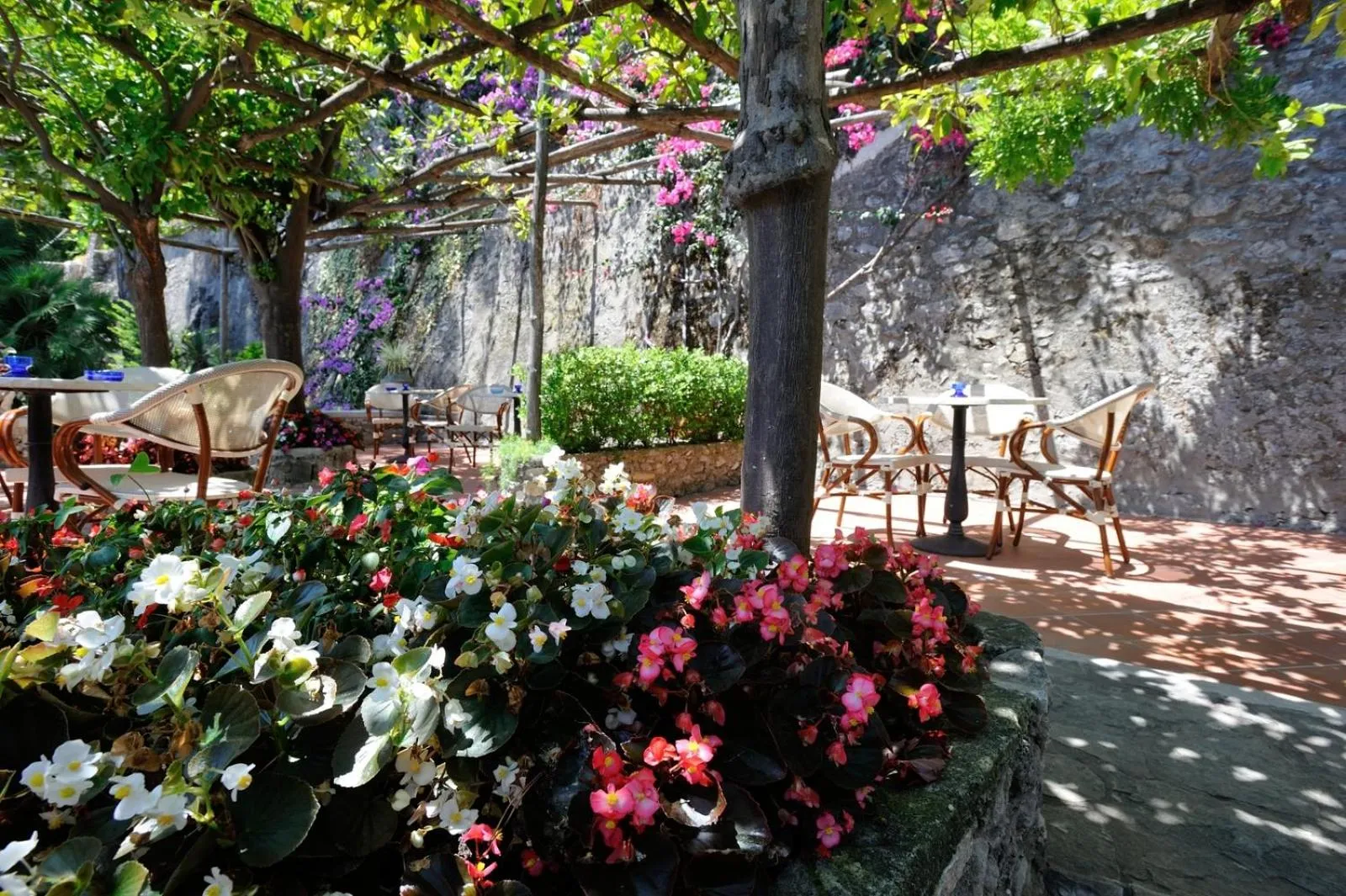 Garden in Hotel Villa San Michele