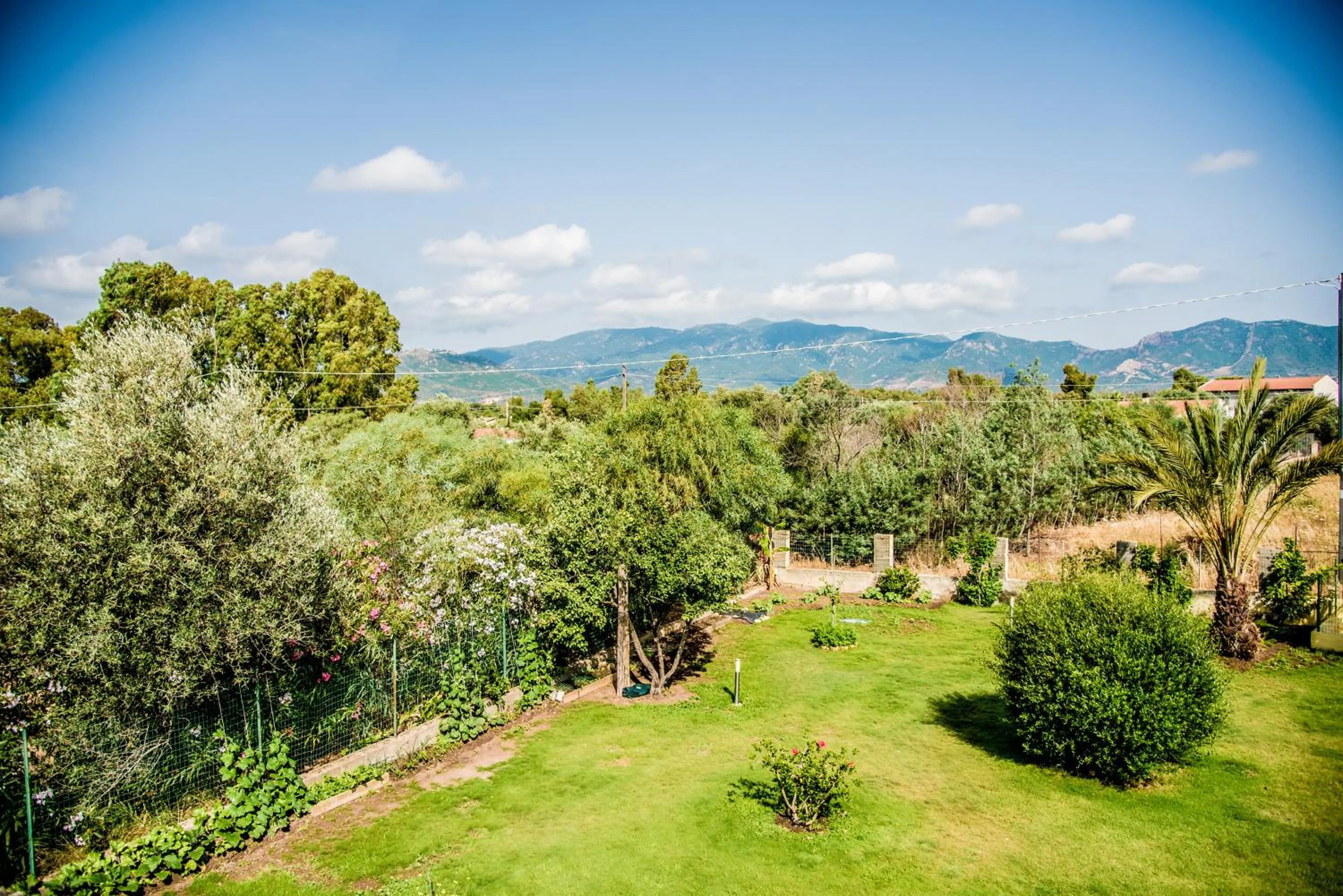 Garden view in Sorecanu