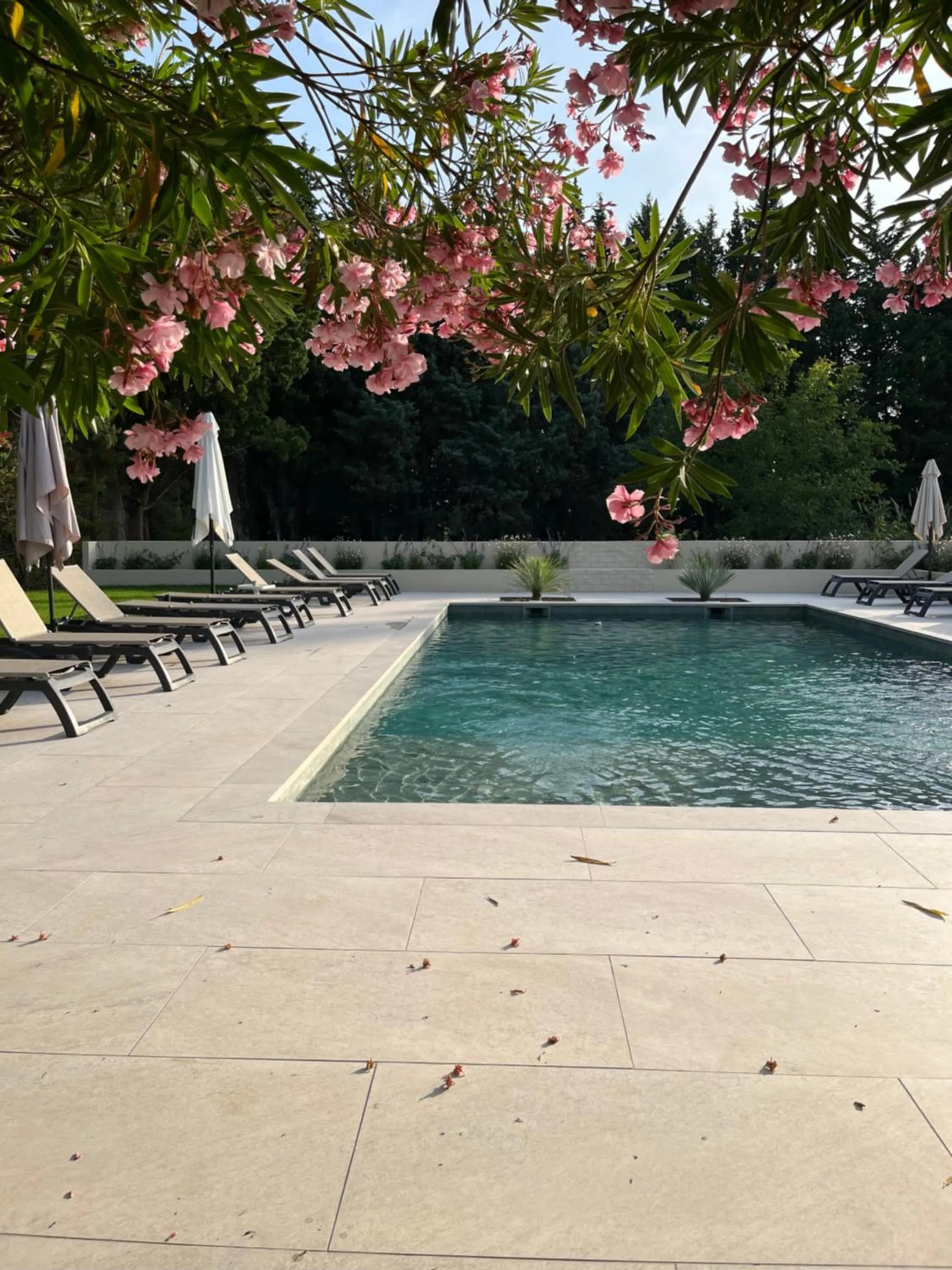 Swimming pool in Moulin de la Roque