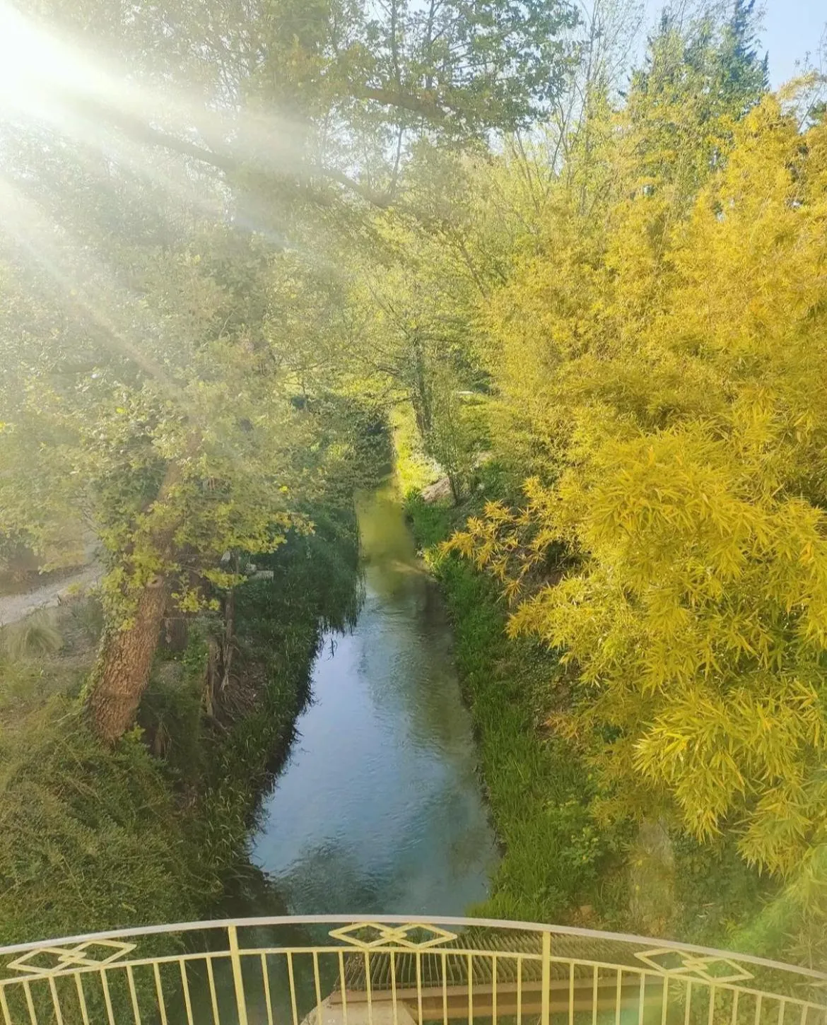 Natural landscape in Moulin de la Roque
