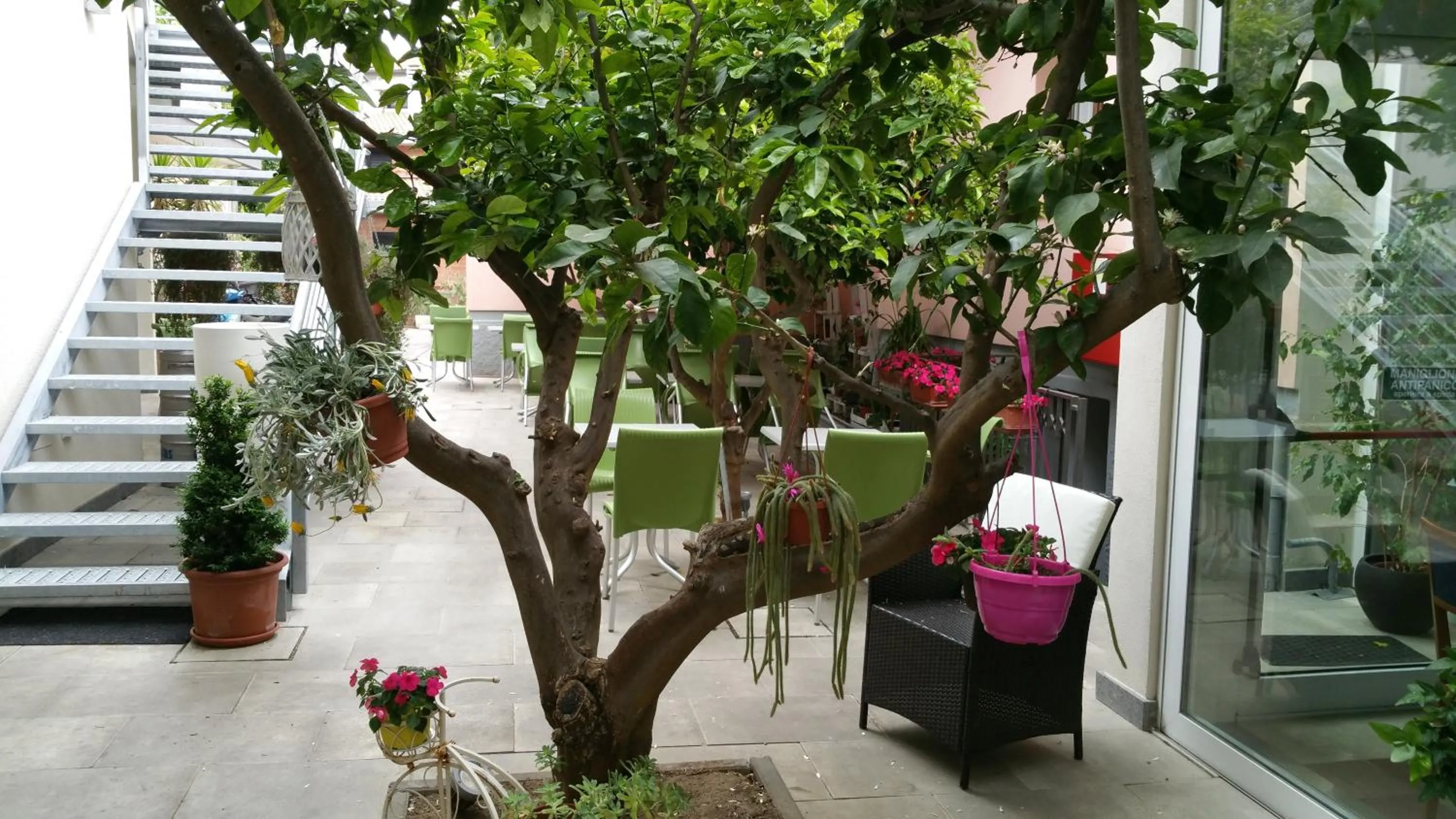 Garden in Hotel Lucerna