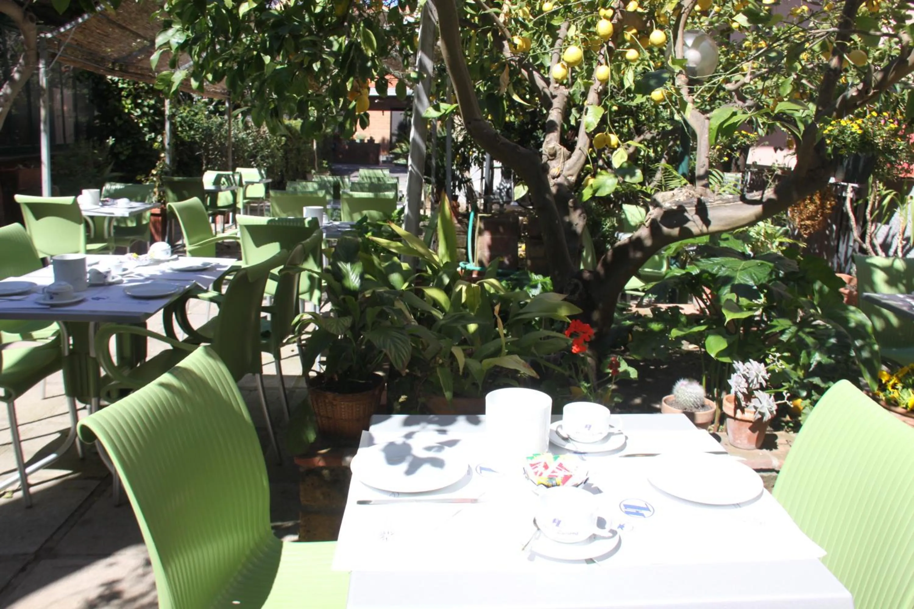 Restaurant/places to eat in Hotel Lucerna