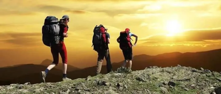 Other in Il Quadrifoglio guesthouse