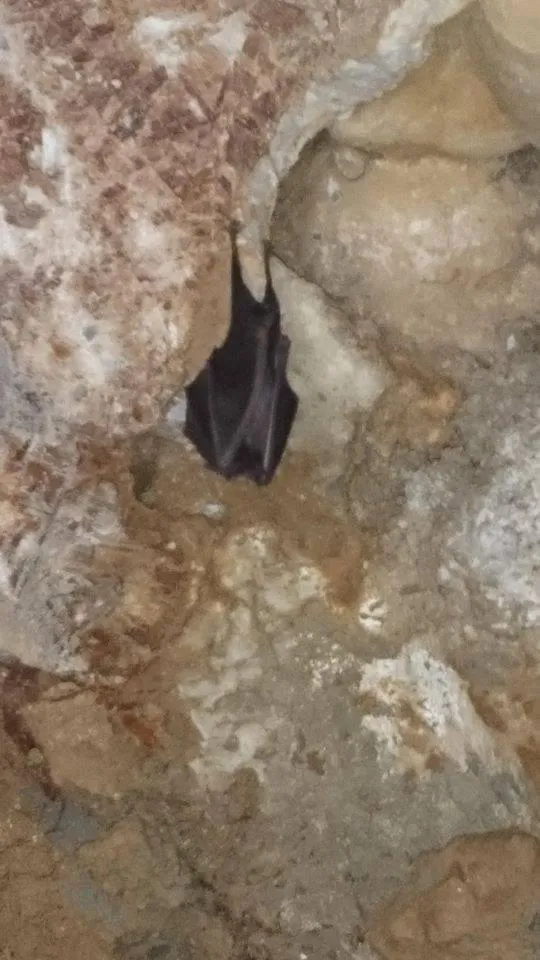 Nearby landmark in Mendi Alai